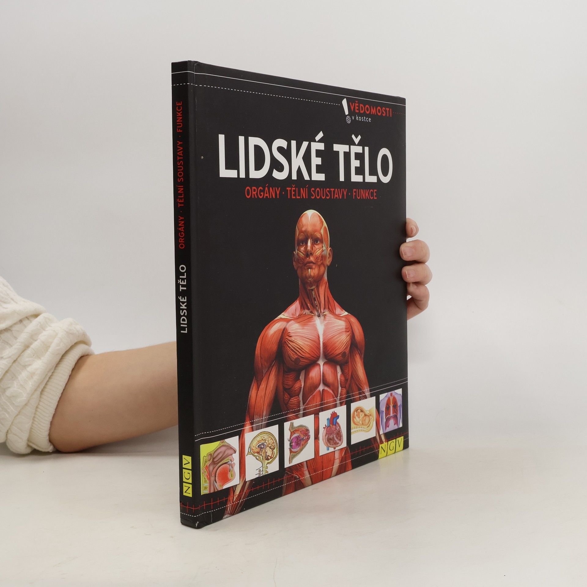 Collective Lidské tělo. Orgány, tělní soustavy, funkce
