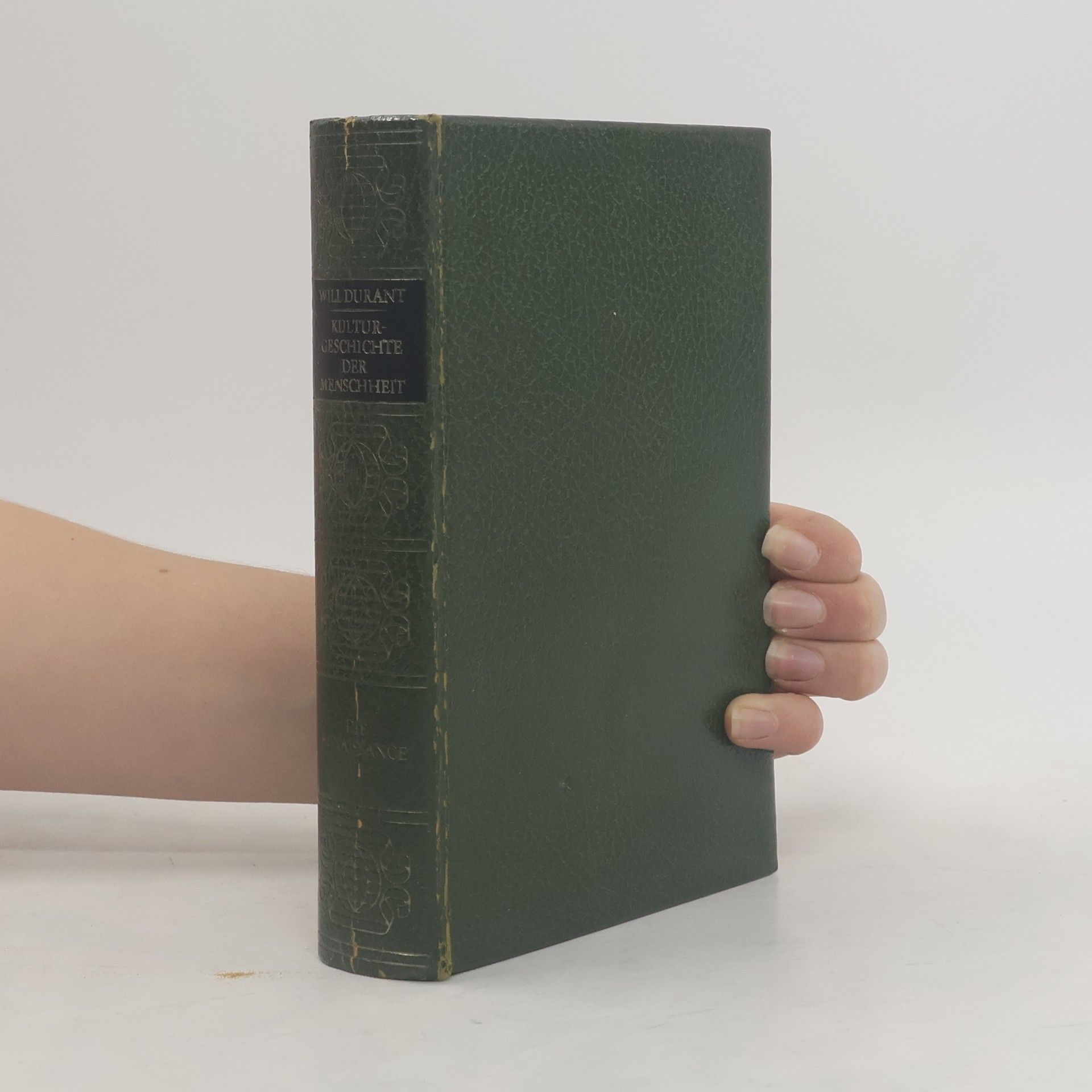 Will Durant Vorspiel: Die Renaissance in Florenz. Italienisches Panorama I.
