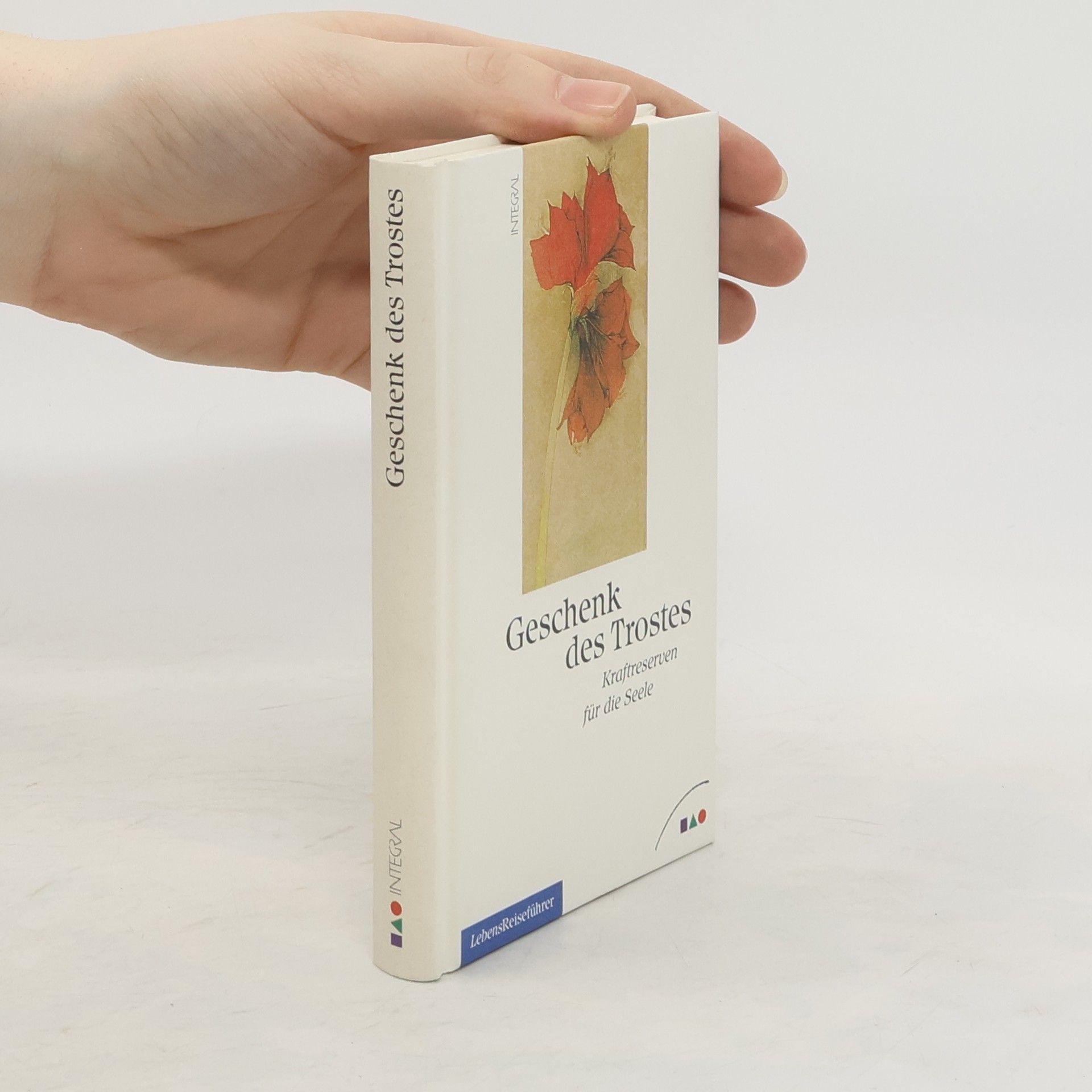 kolektiv Geschenk des Trostes