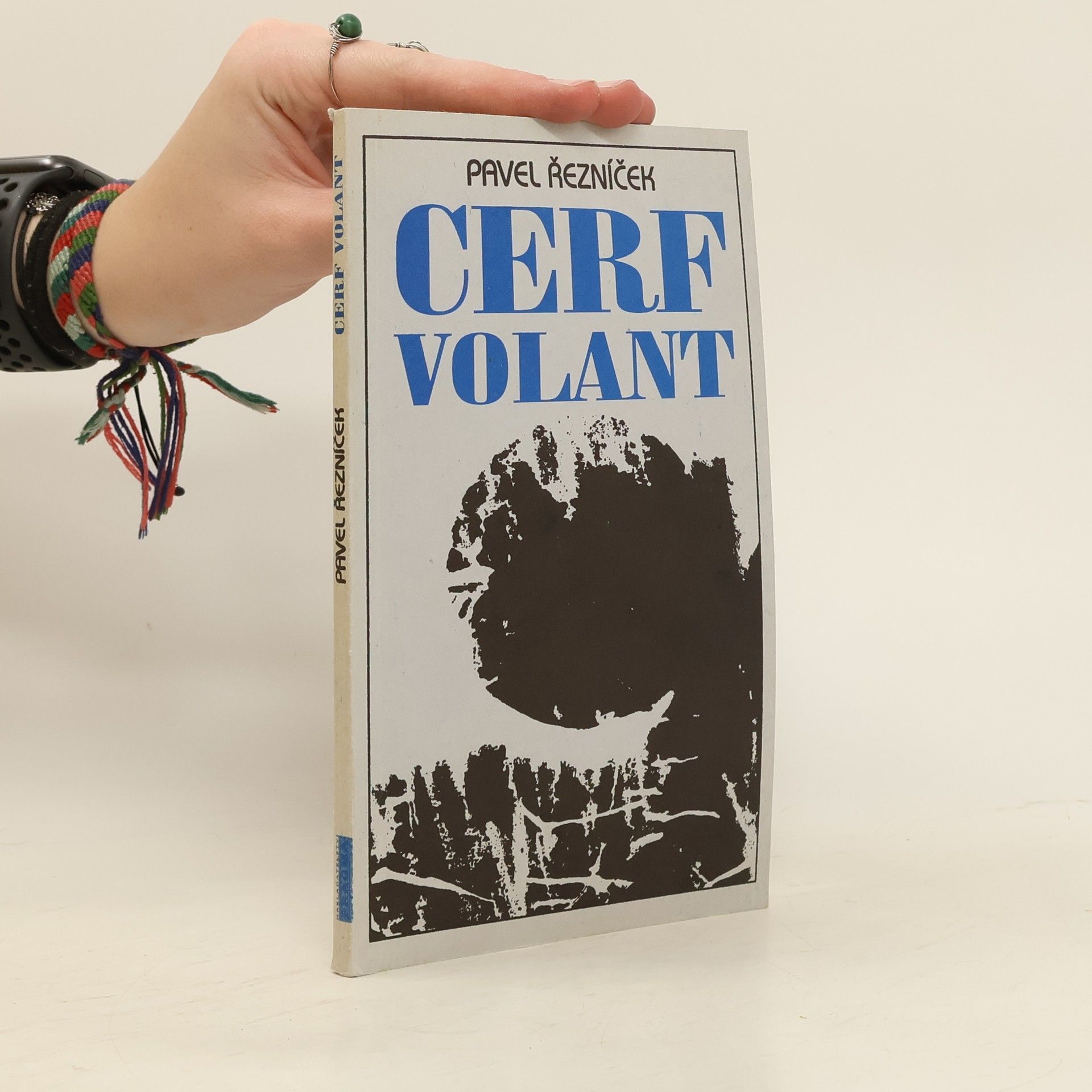 Pavel Řezníček Cerf volant