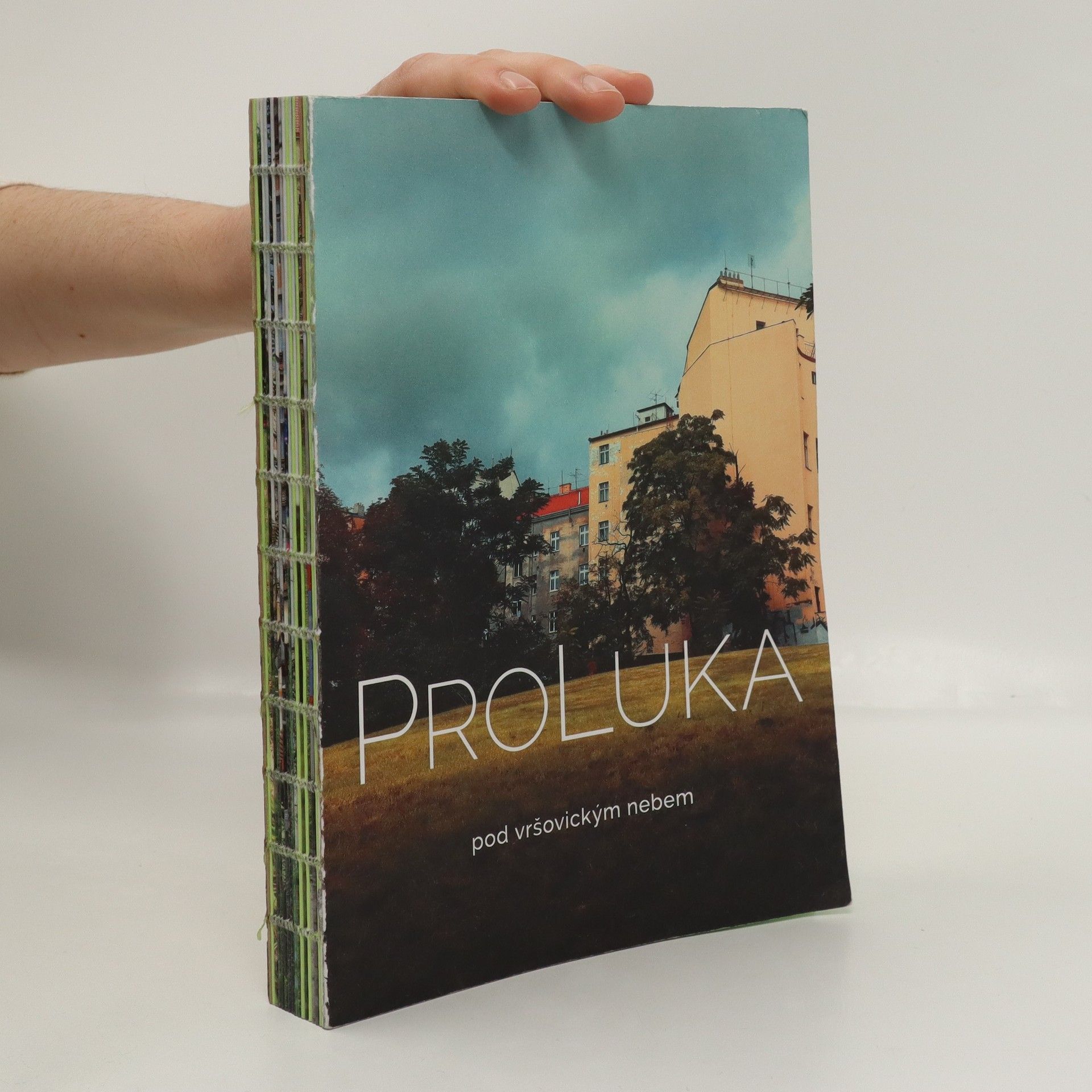 Denisa Václavová ProLuka - pod vršovickým nebem