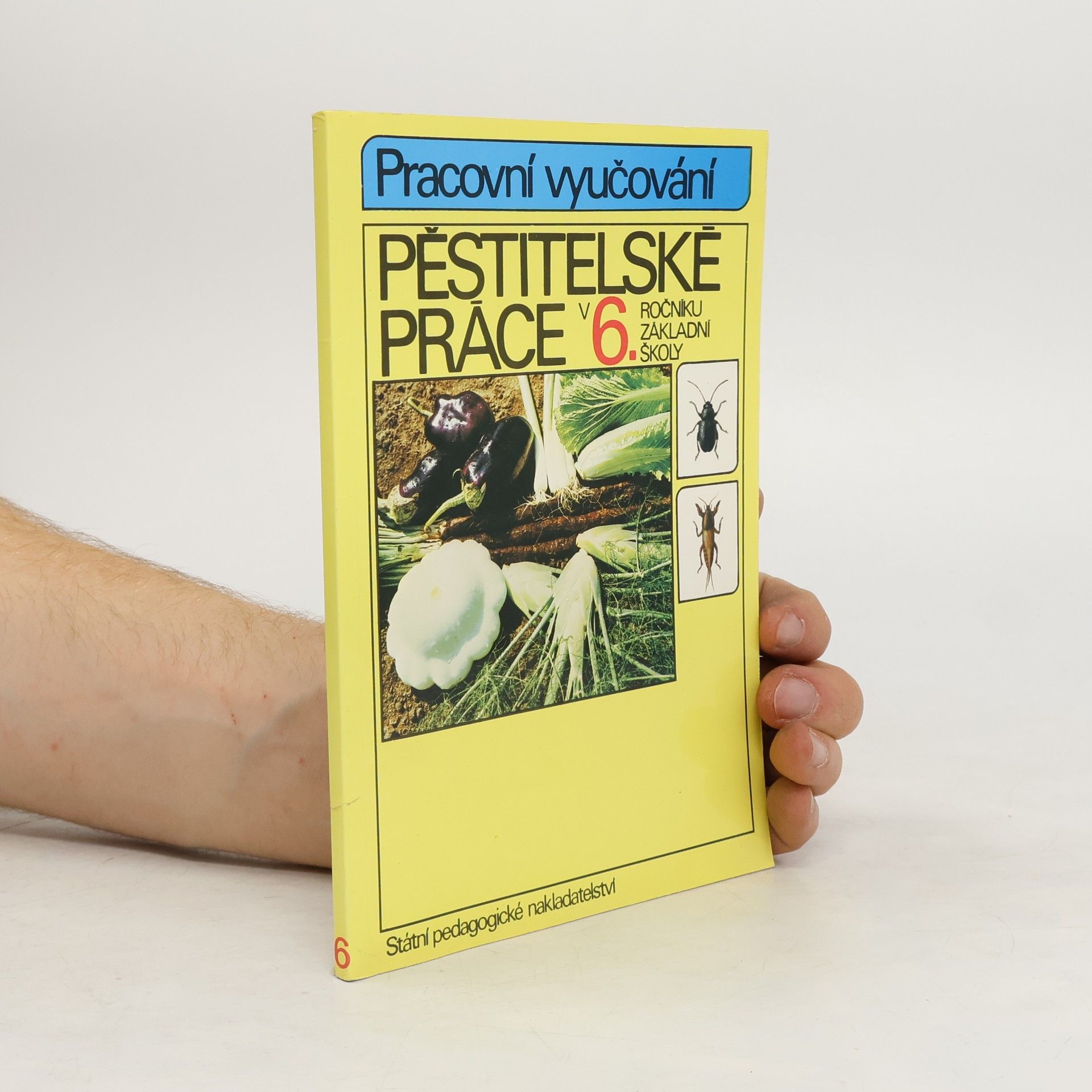 Collectif d'auteurs Pěstitelské práce v 6. ročníku základní školy