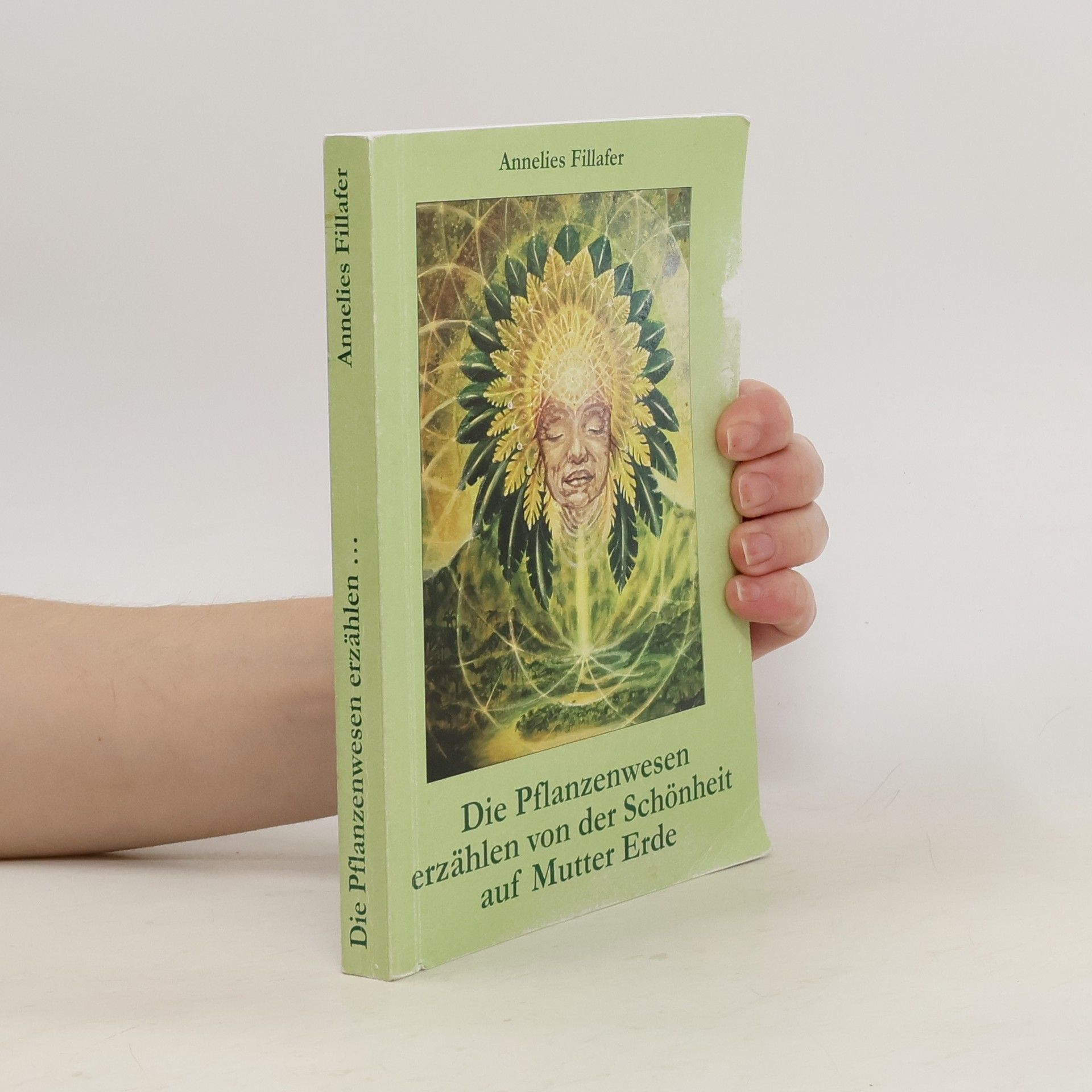 Annelies Fillafer Die Pflanzenwesen erzählen von der Schönheit auf Mutter Erde