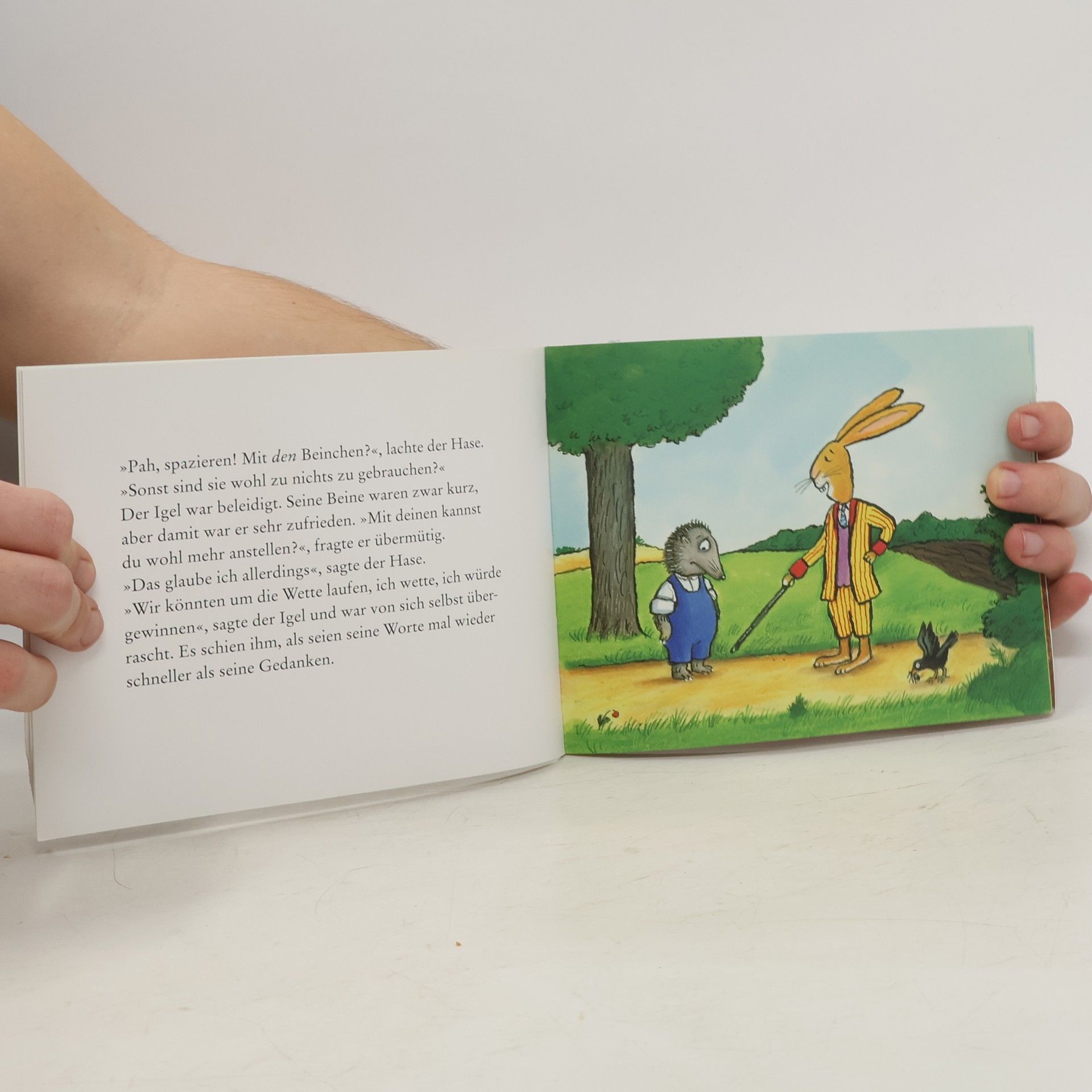 Axel Scheffler Hase und Igel