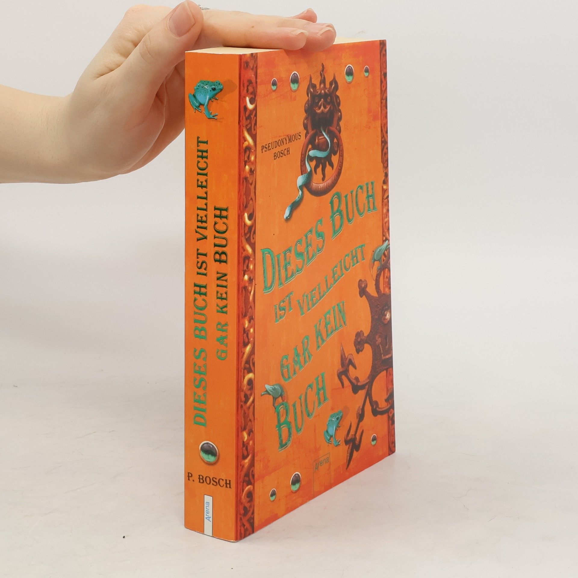 Dieses Buch ist vielleicht gar kein Buch