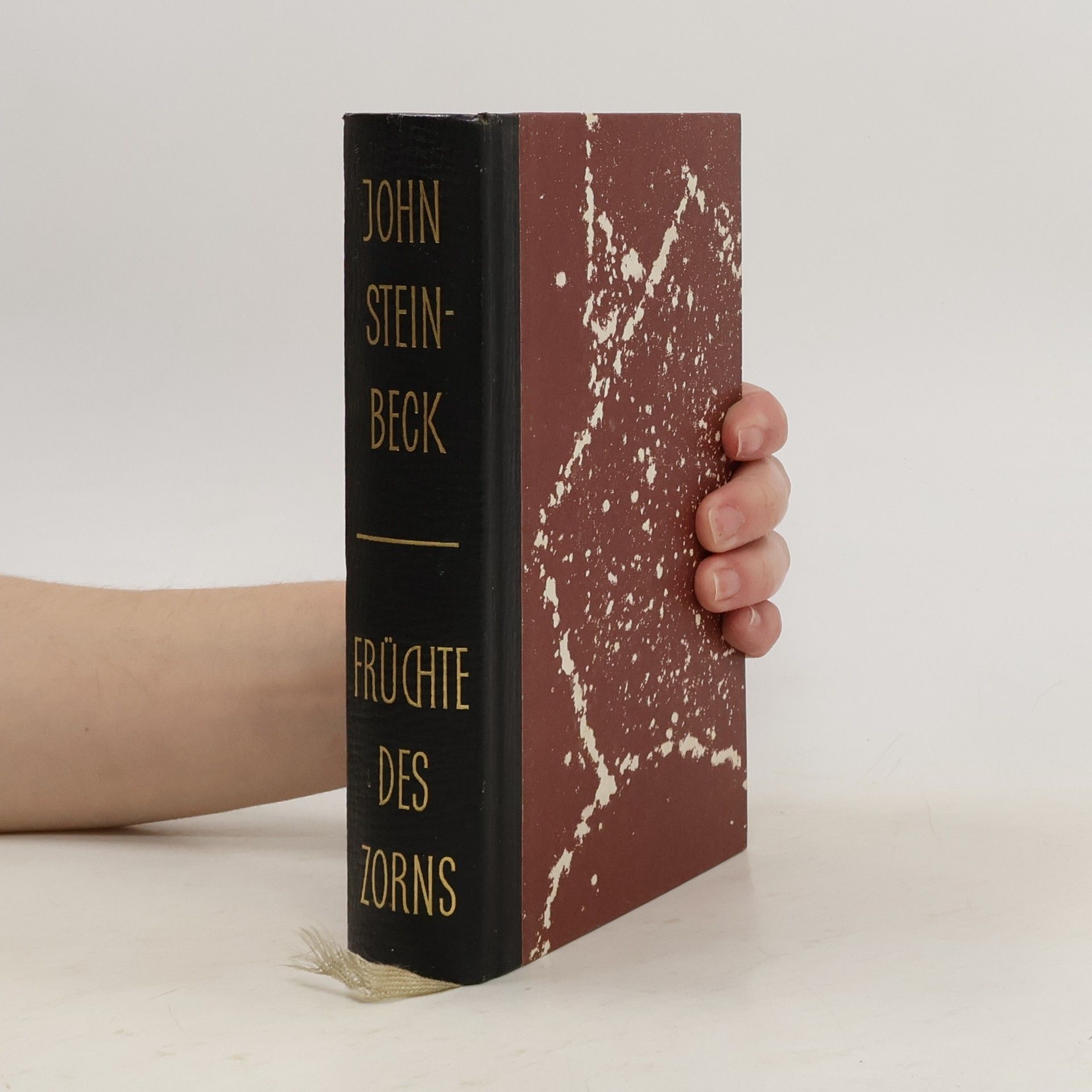 John Steinbeck Früchte des Zorns