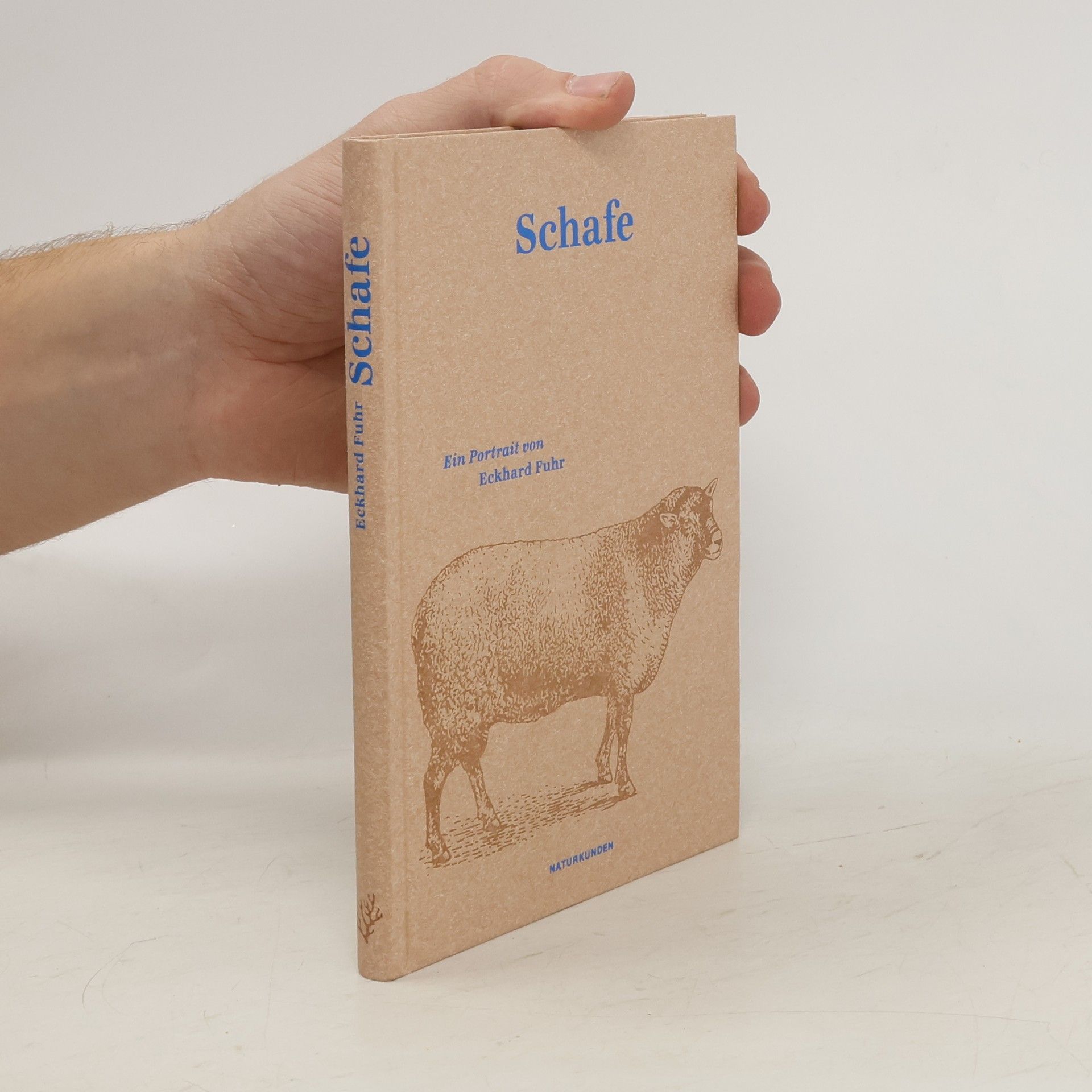 Eckhard Fuhr Schafe