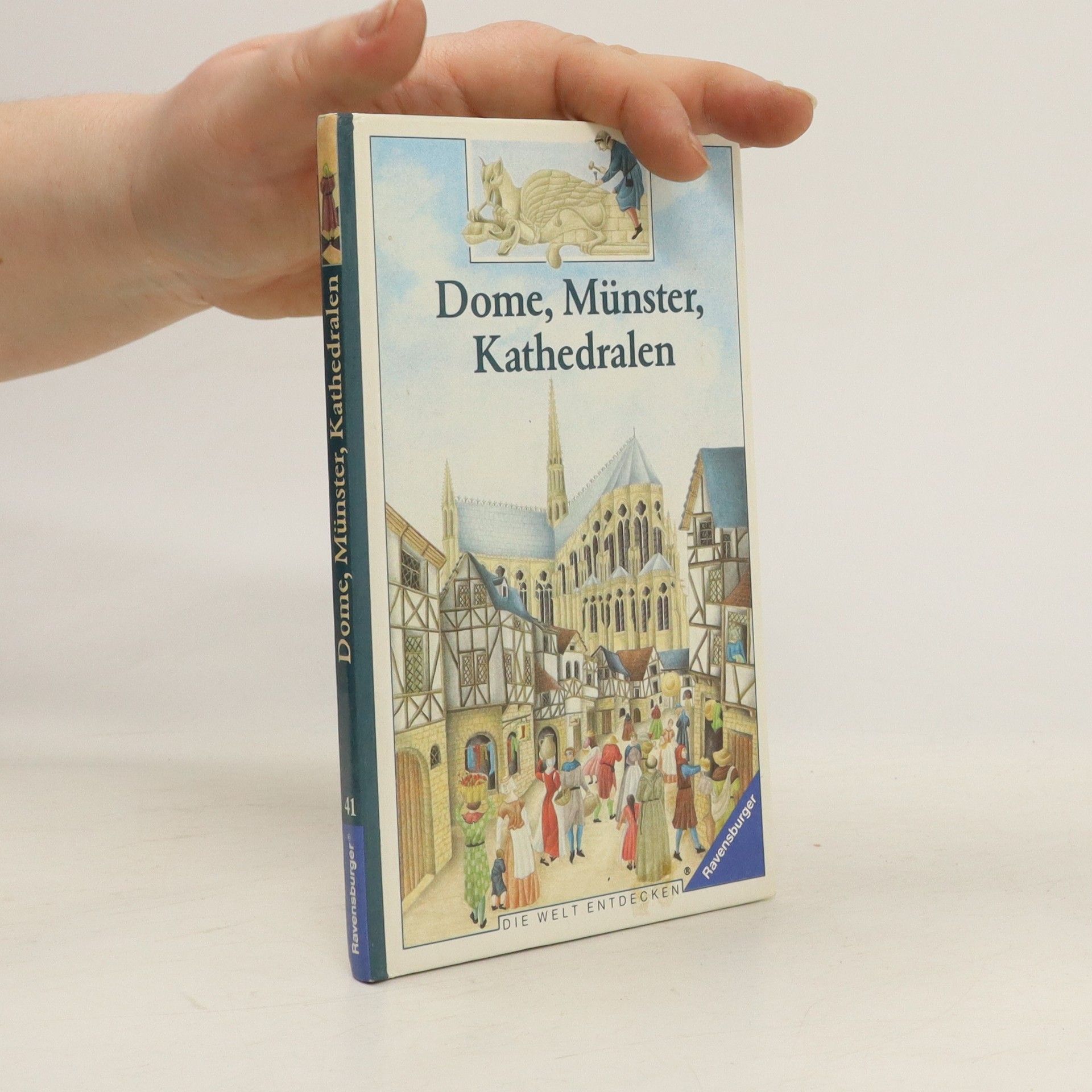 Collectif d'auteurs Dome, Münster, Kathedralen