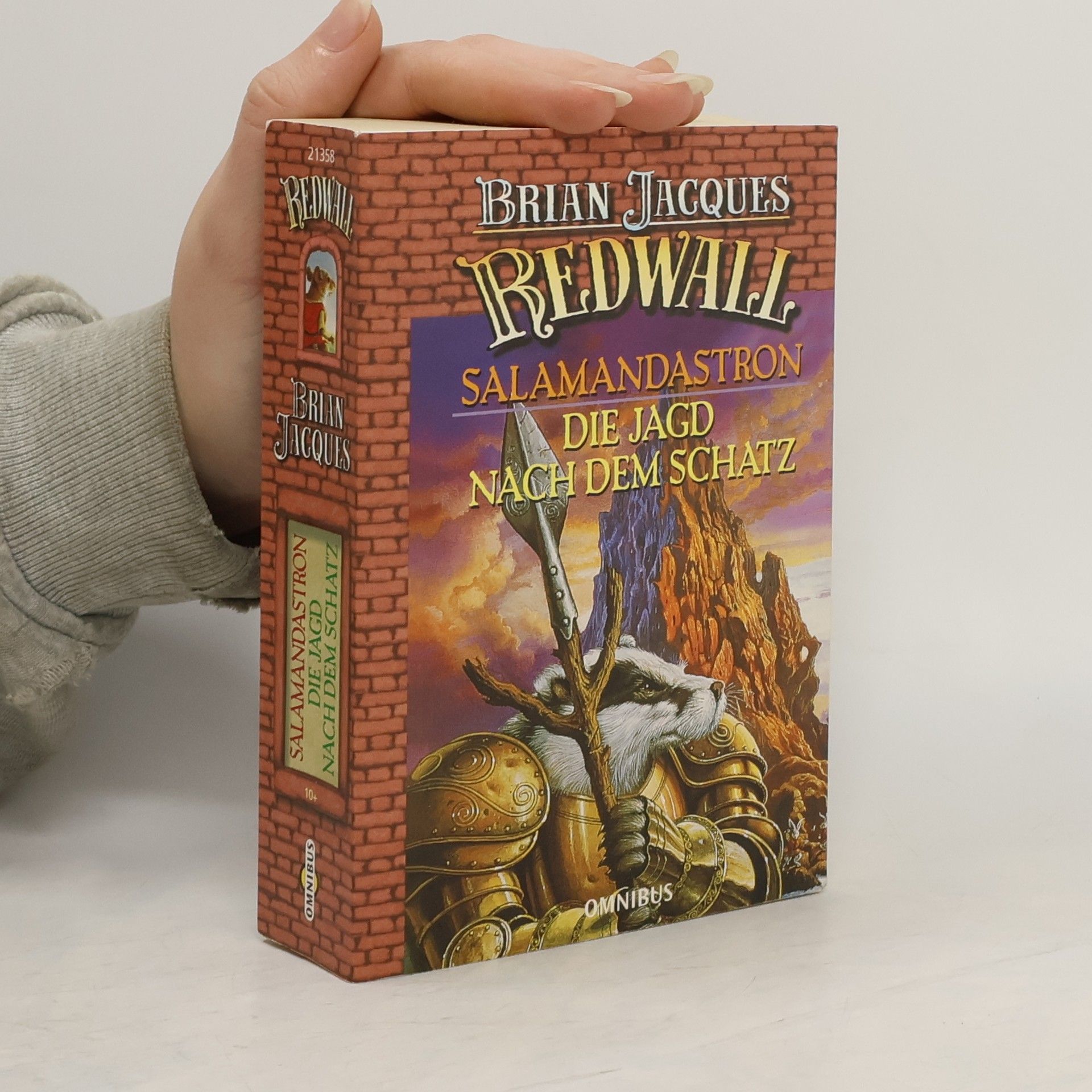 Brian Jacques Salamandastron, Die Jagd nach dem Schatz