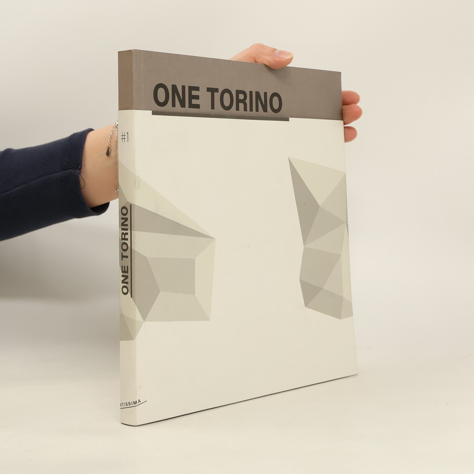 kolektiv One Torino