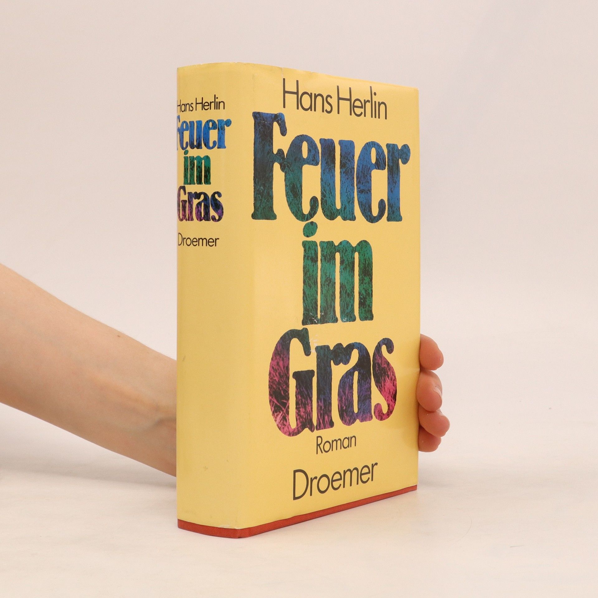 Hans Herlin Feuer im Gras