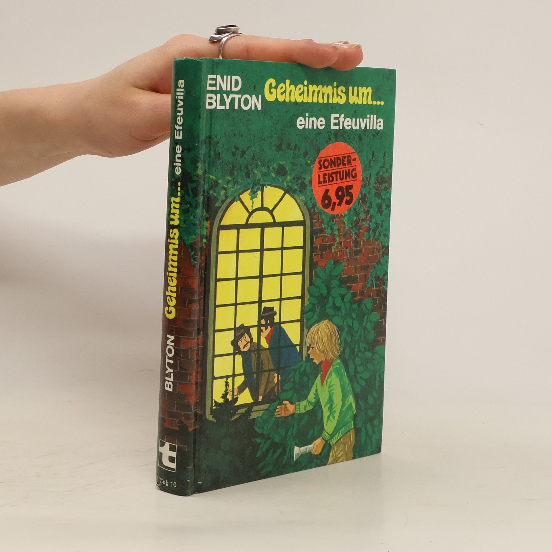 Enid Blyton Geheimnis um eine Efeuvilla