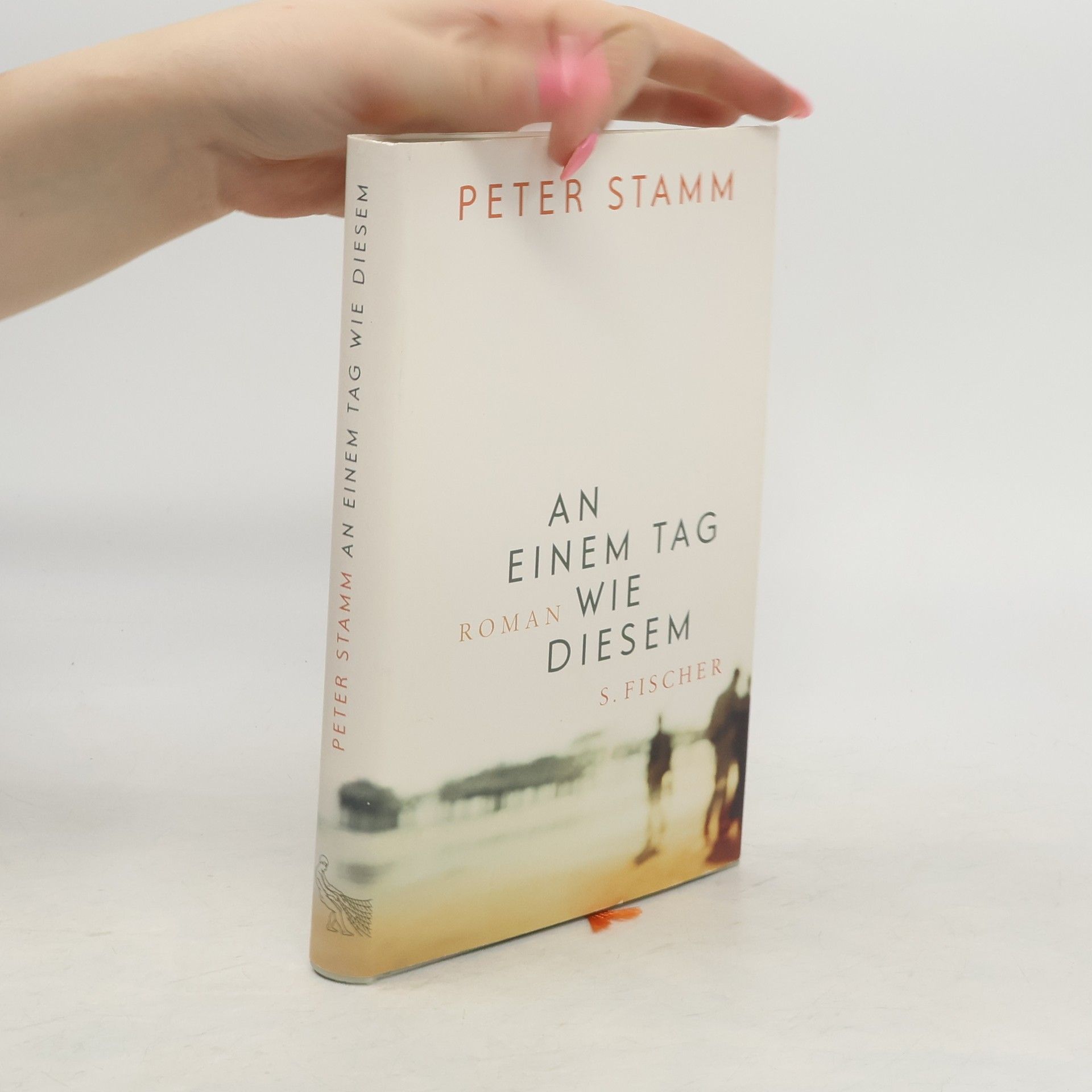 Peter Stamm An einem Tag wie diesem