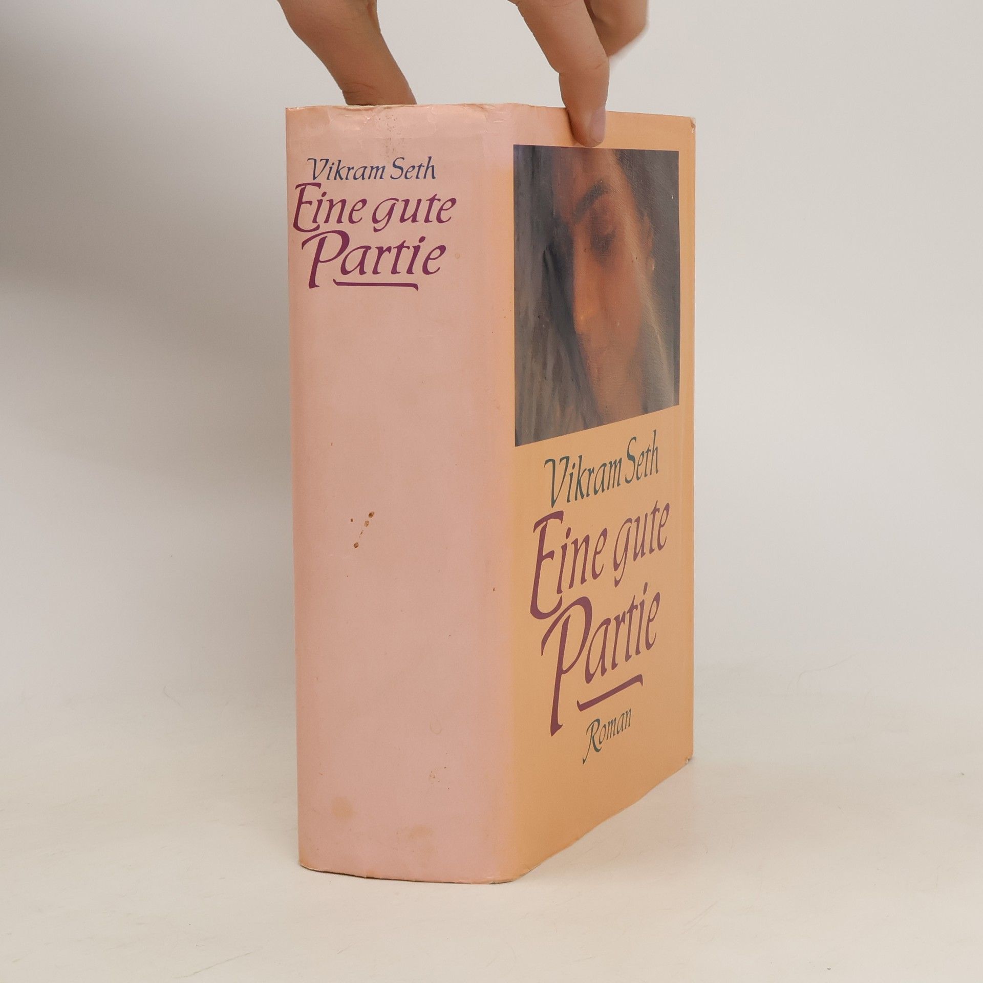 Vikram Seth Eine gute Partie
