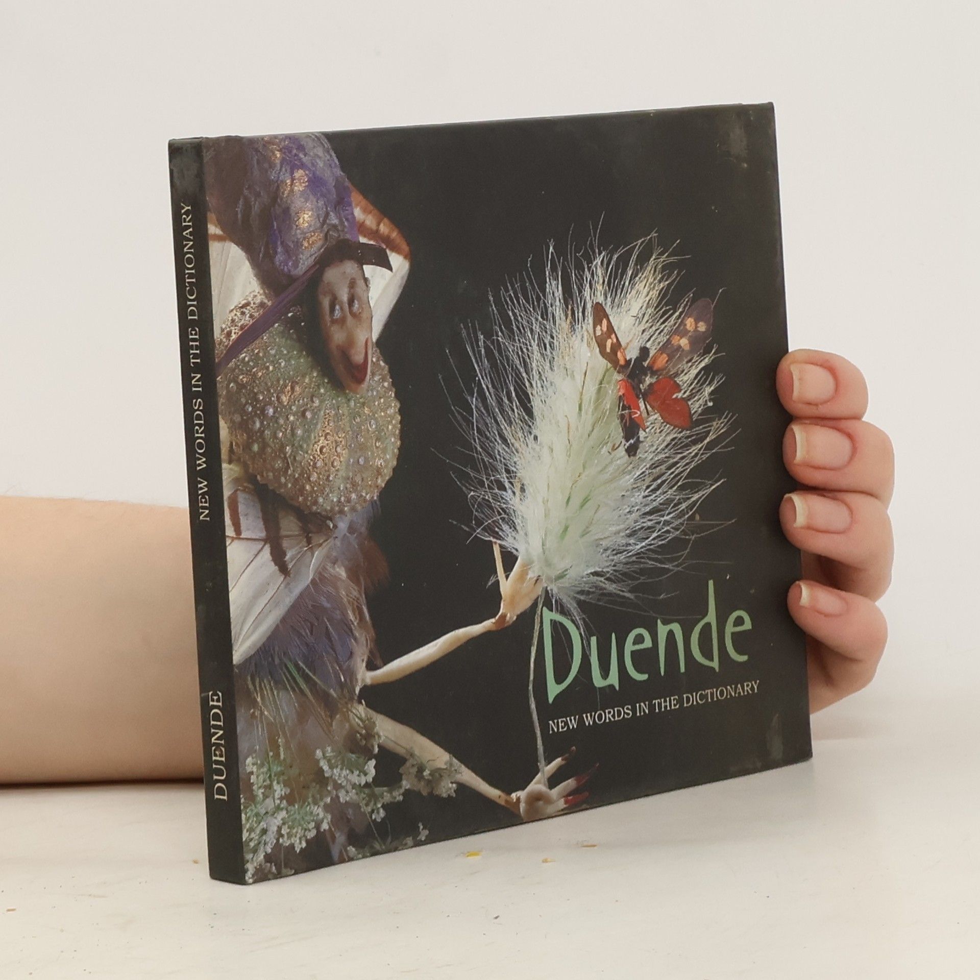 Collectif d'auteurs Duende. New Words in the Dictionary