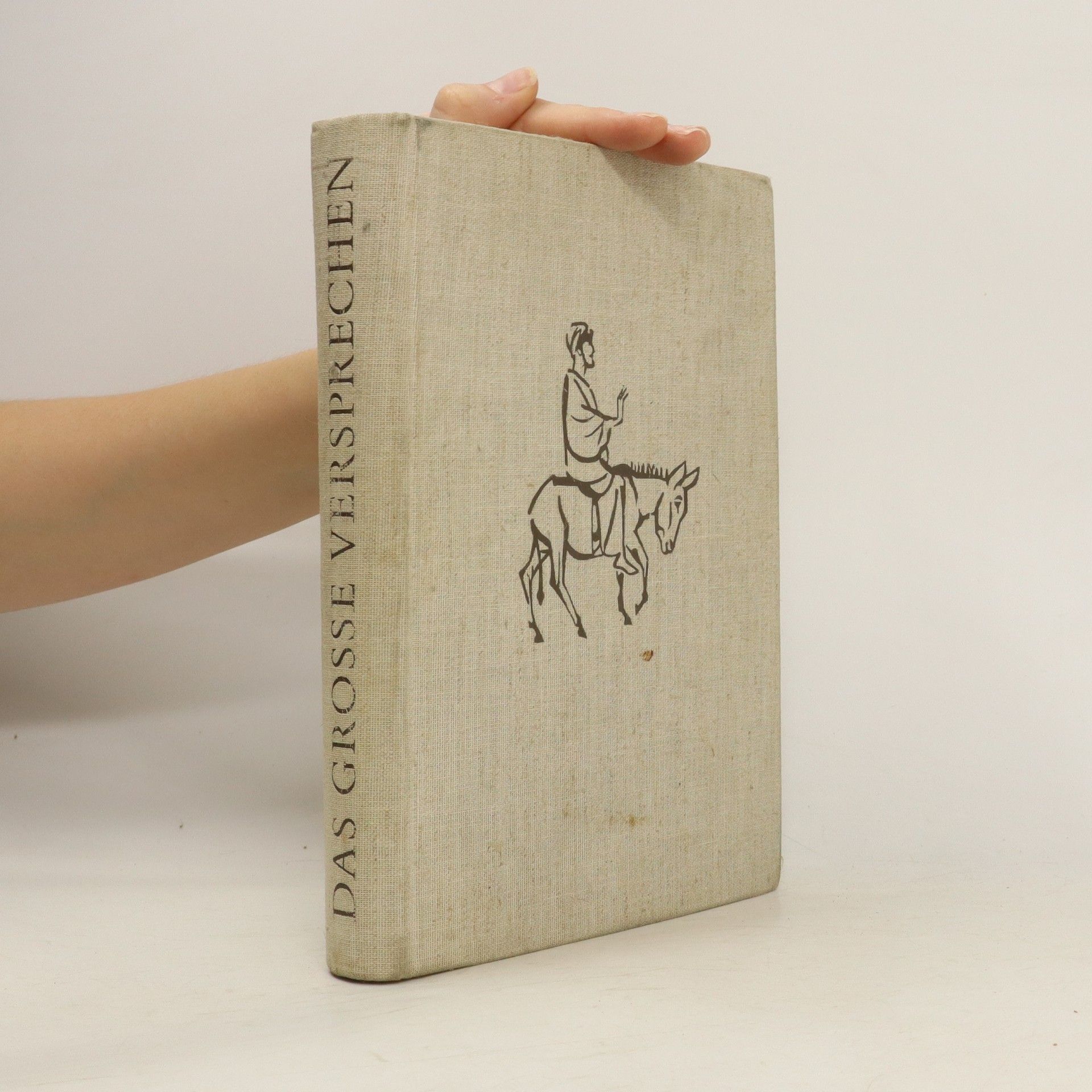 Collectif d'auteurs Das Grosse Versprechen