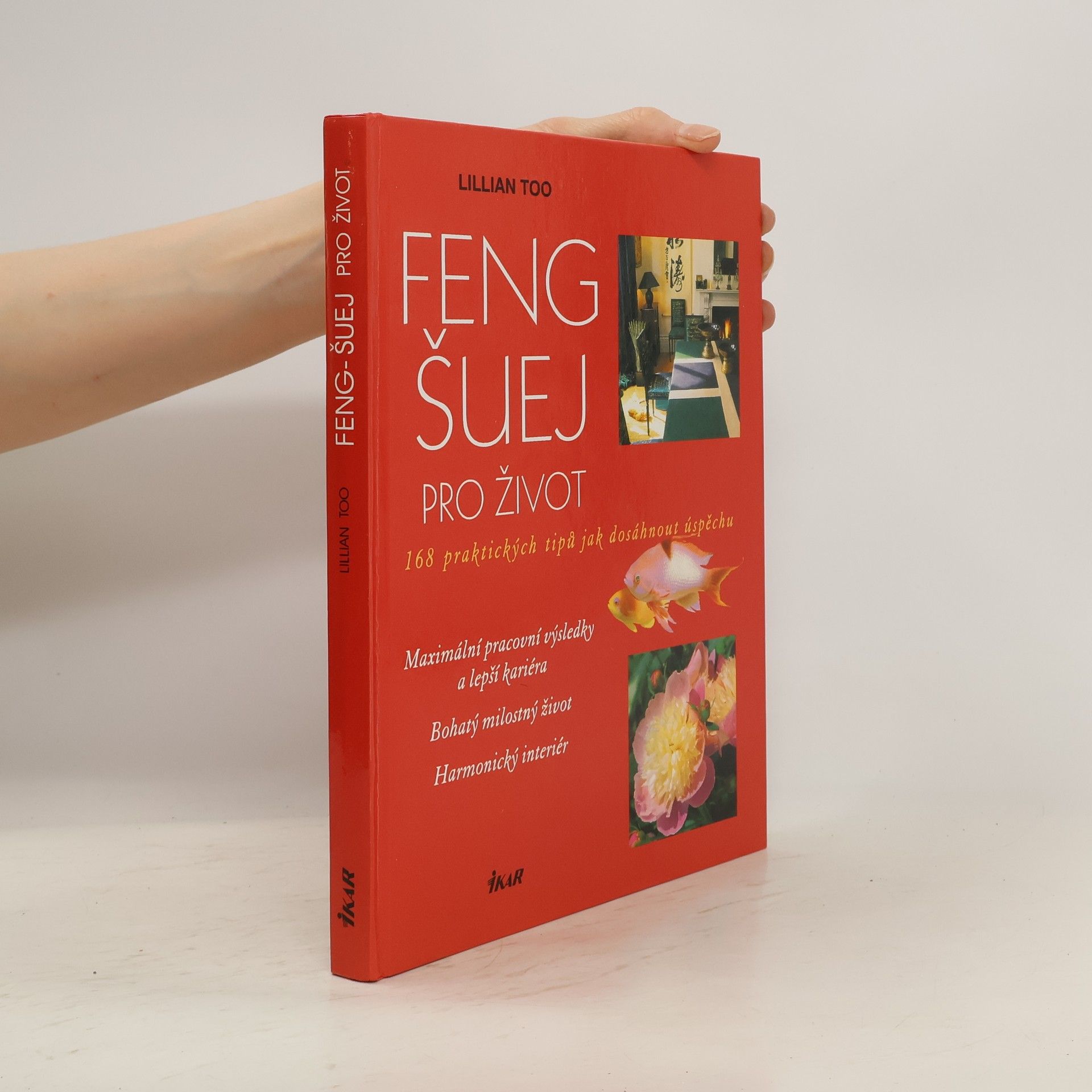 Lillian Too Feng-šuej pro život. 168 praktických tipů jak dosáhnout úspěchu