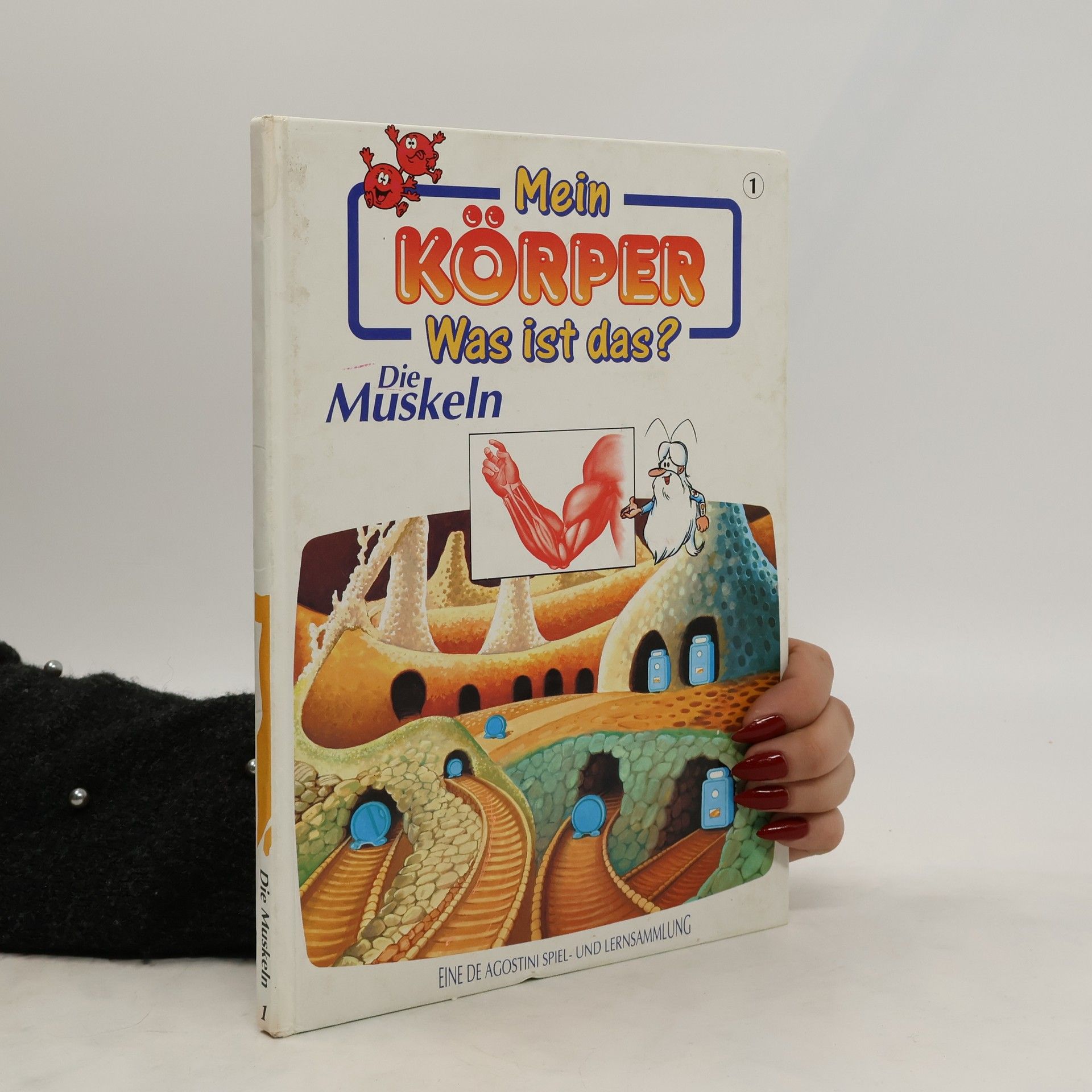 Autorenkollektiv Mein Körper. Was ist das? Die Muskeln (n.1)