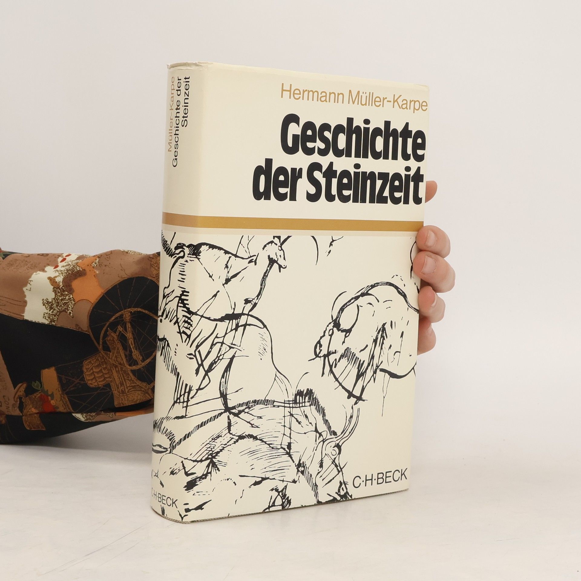 Hermann Müller-Karpe Geschichte der Steinzeit