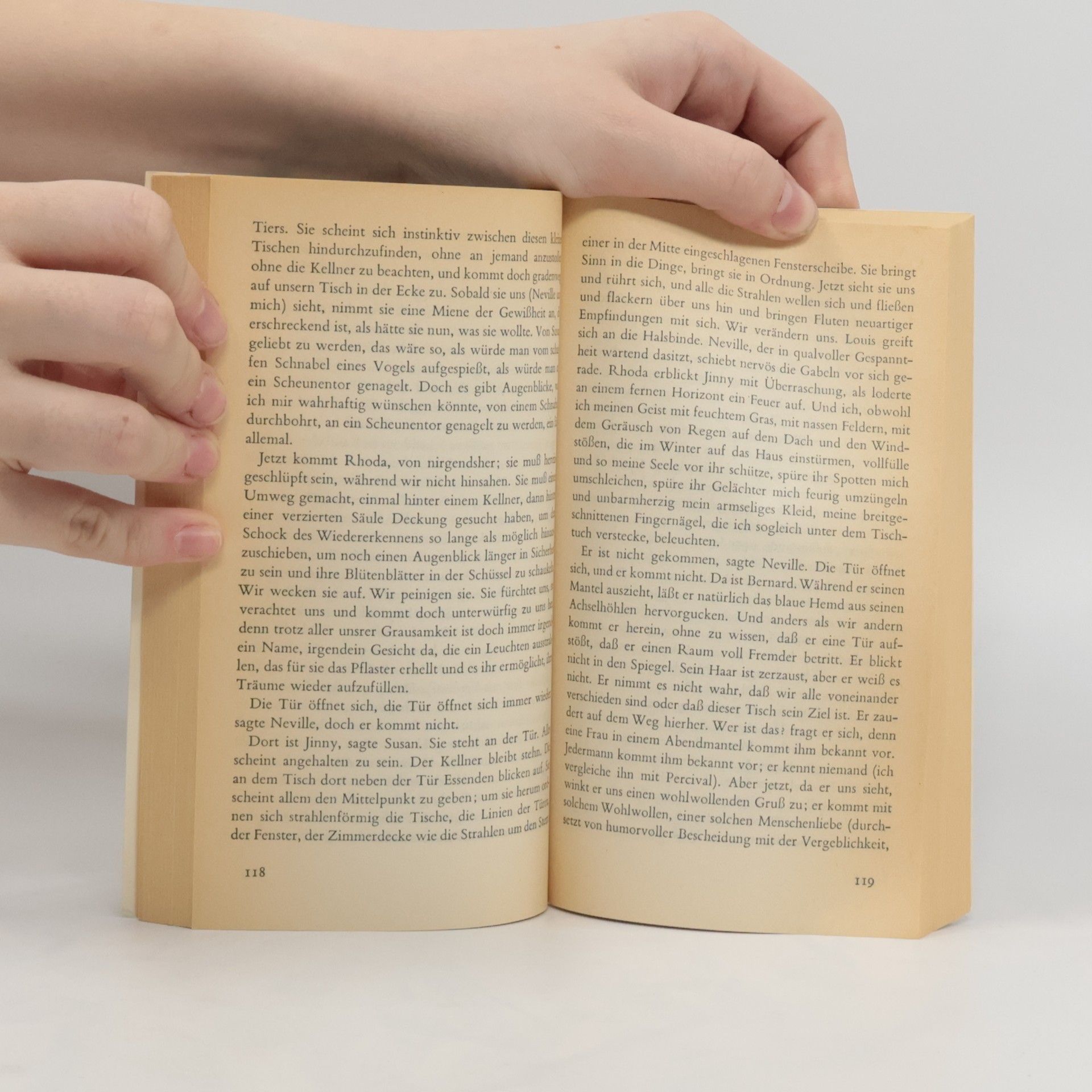 Virginia Woolf Die Wellen