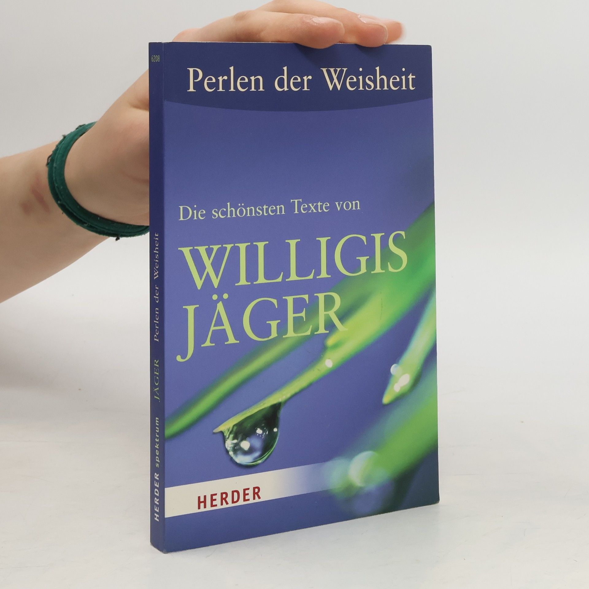 Willigis Jäger Die schönsten Texte