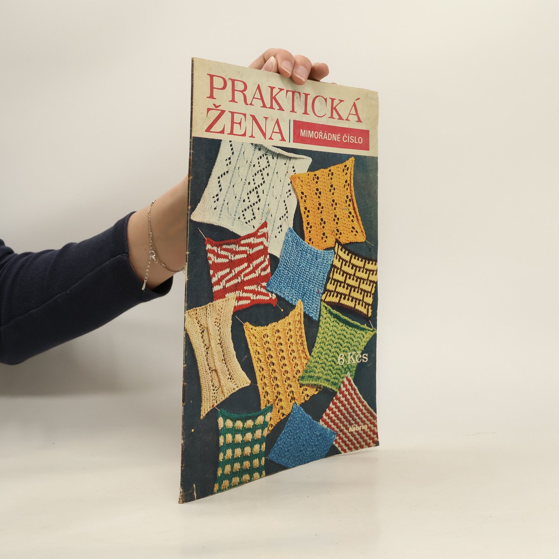 kolektiv Praktická žena