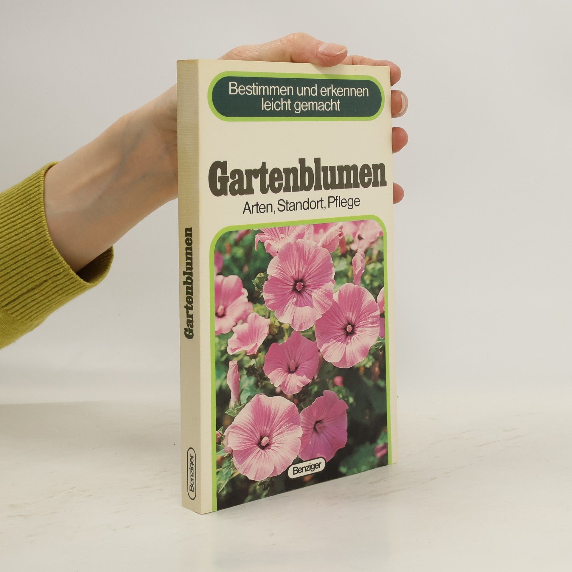 Gina Barnabe Bosisio Gartenblumen