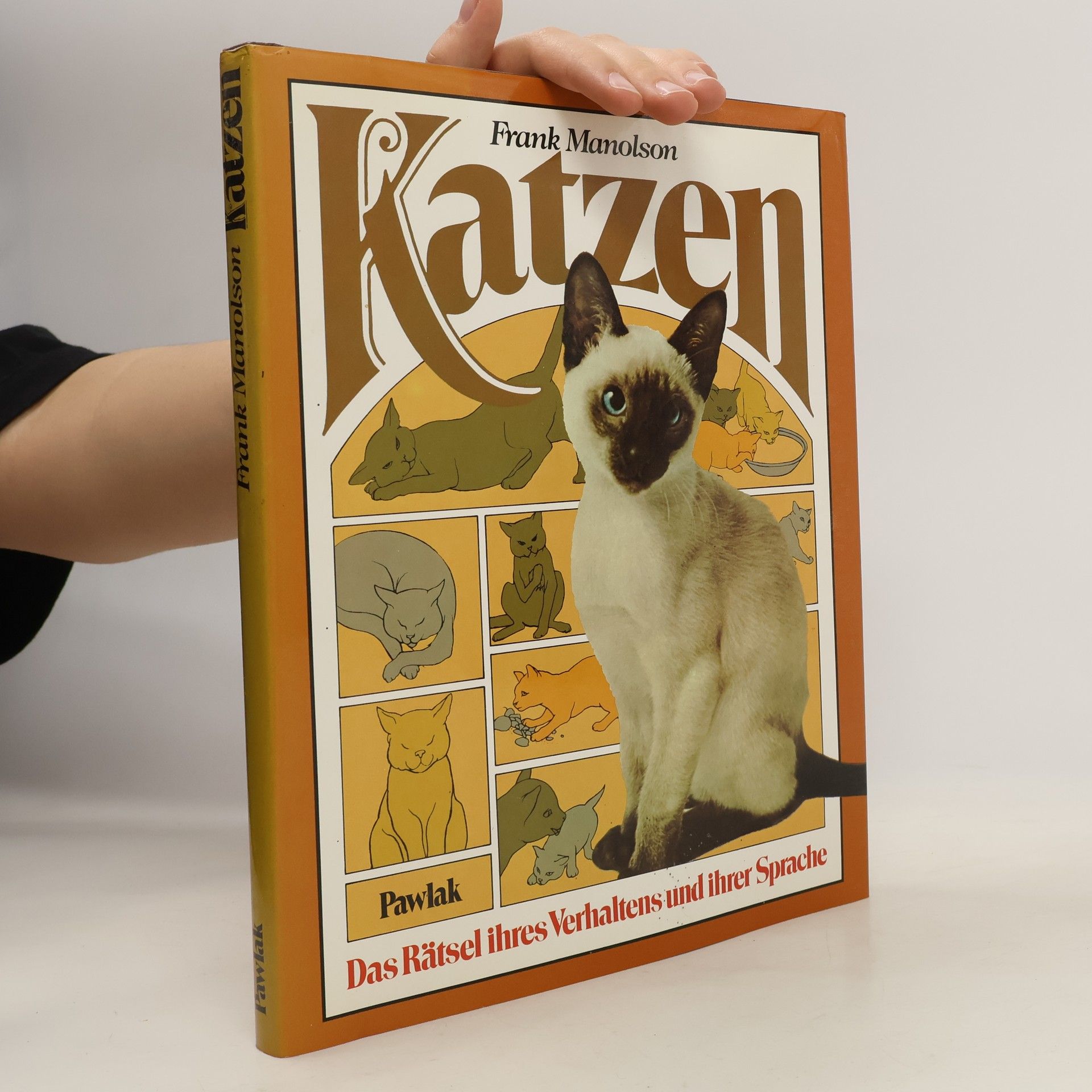 Frank Manolson Katzen