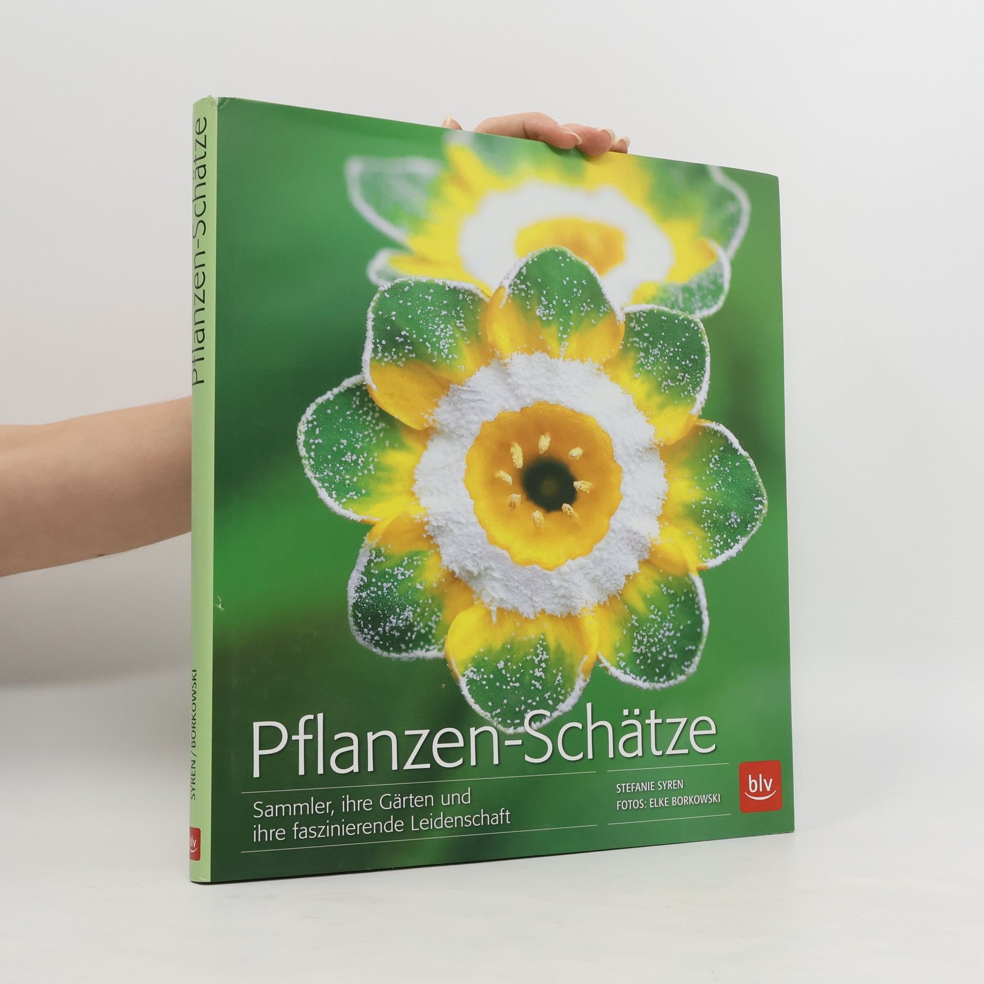 Stefanie Syren Pflanzen-Schätze