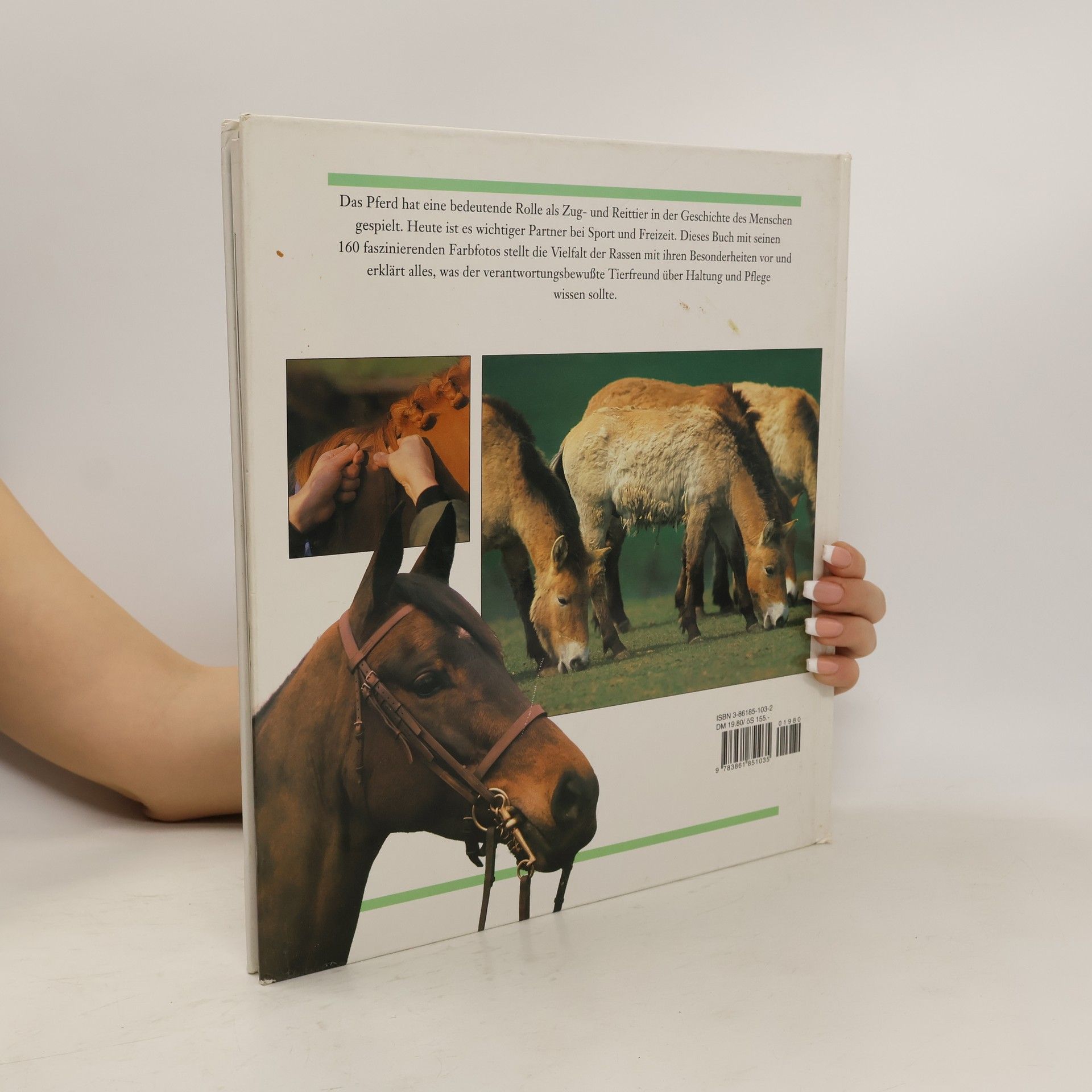 James Kerswell Das illustrierte Buch der Pferde
