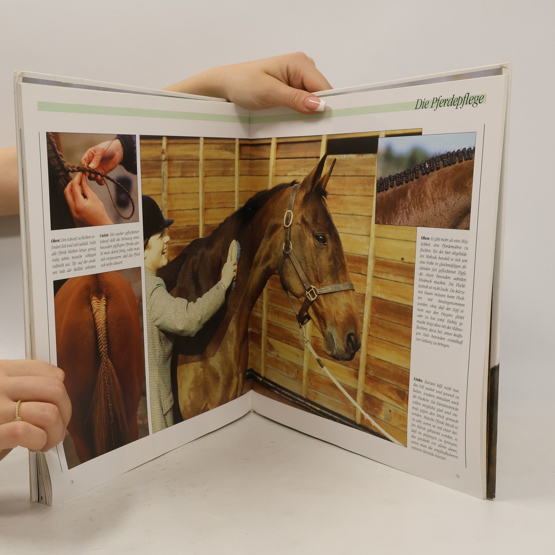 James Kerswell Das illustrierte Buch der Pferde