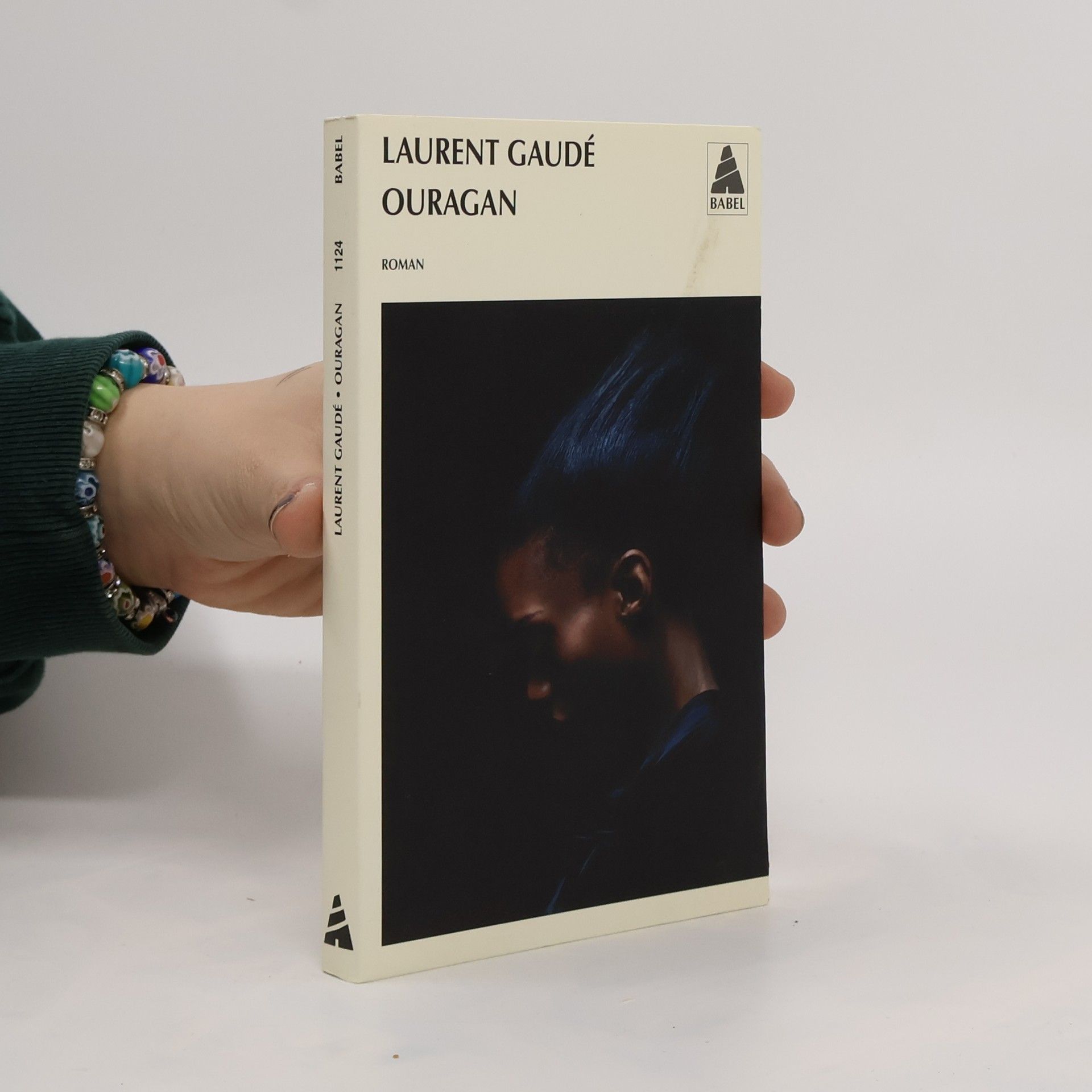 Laurent Gaudé Ouragan