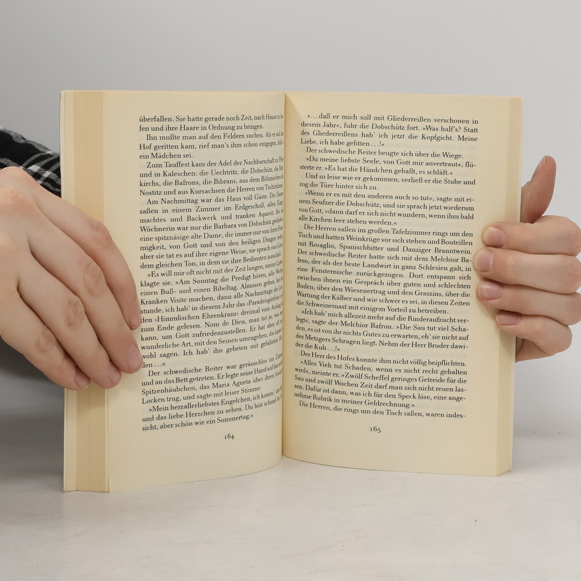 Leo Perutz Der schwedische Reiter