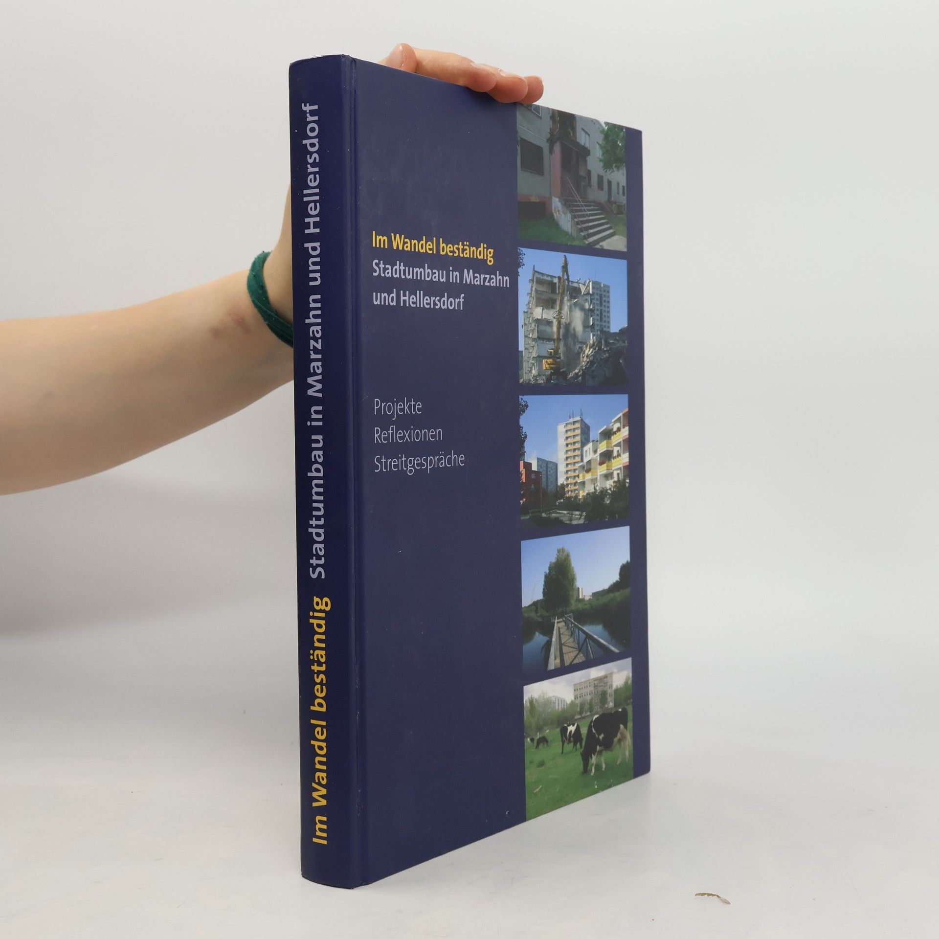 Autorenkollektiv Im Wandel beständig. Stadtumbau in Marzahn und Hellersdorf