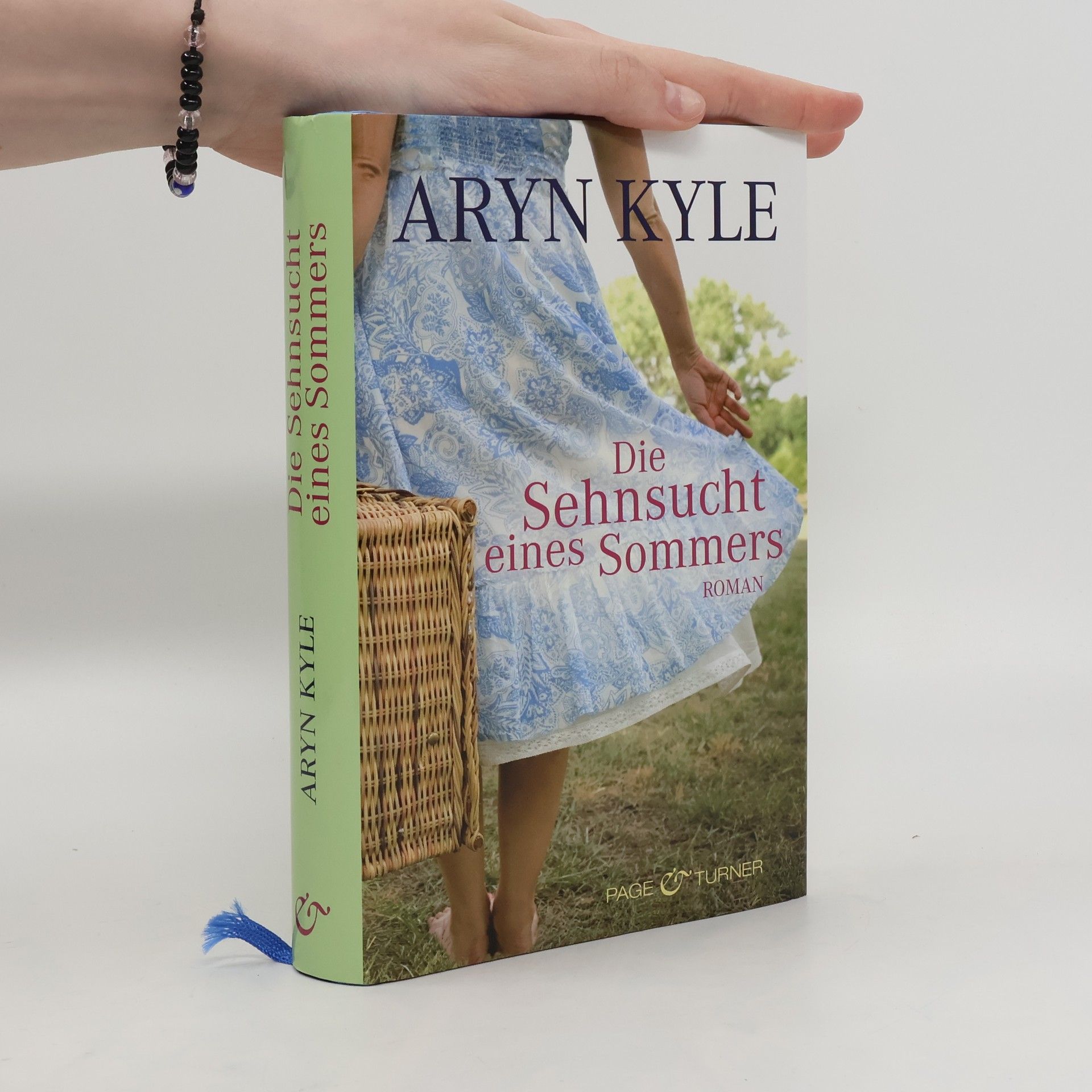 Aryn Kyle Die Sehnsucht eines Sommers
