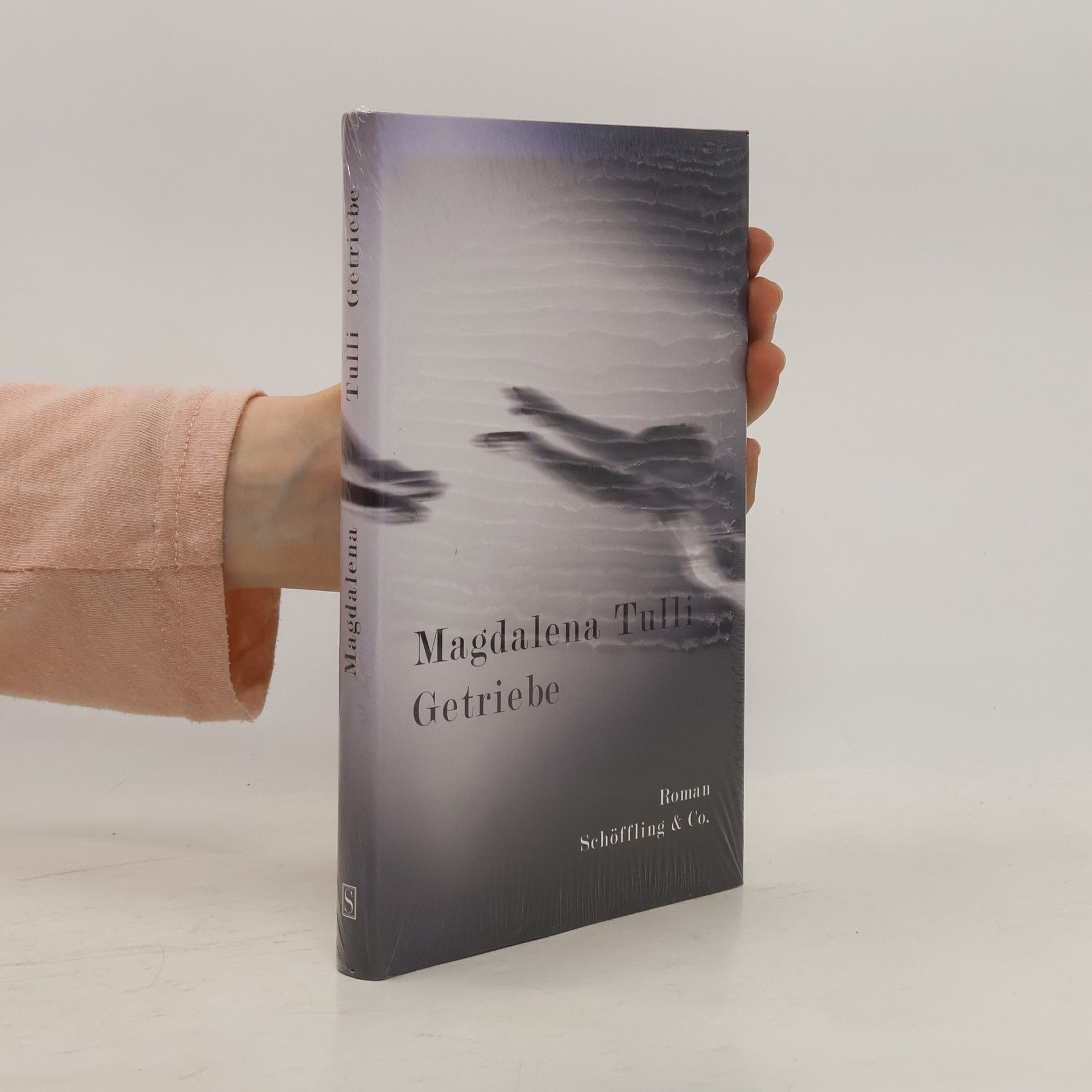 Magdalena Tulli Getriebe