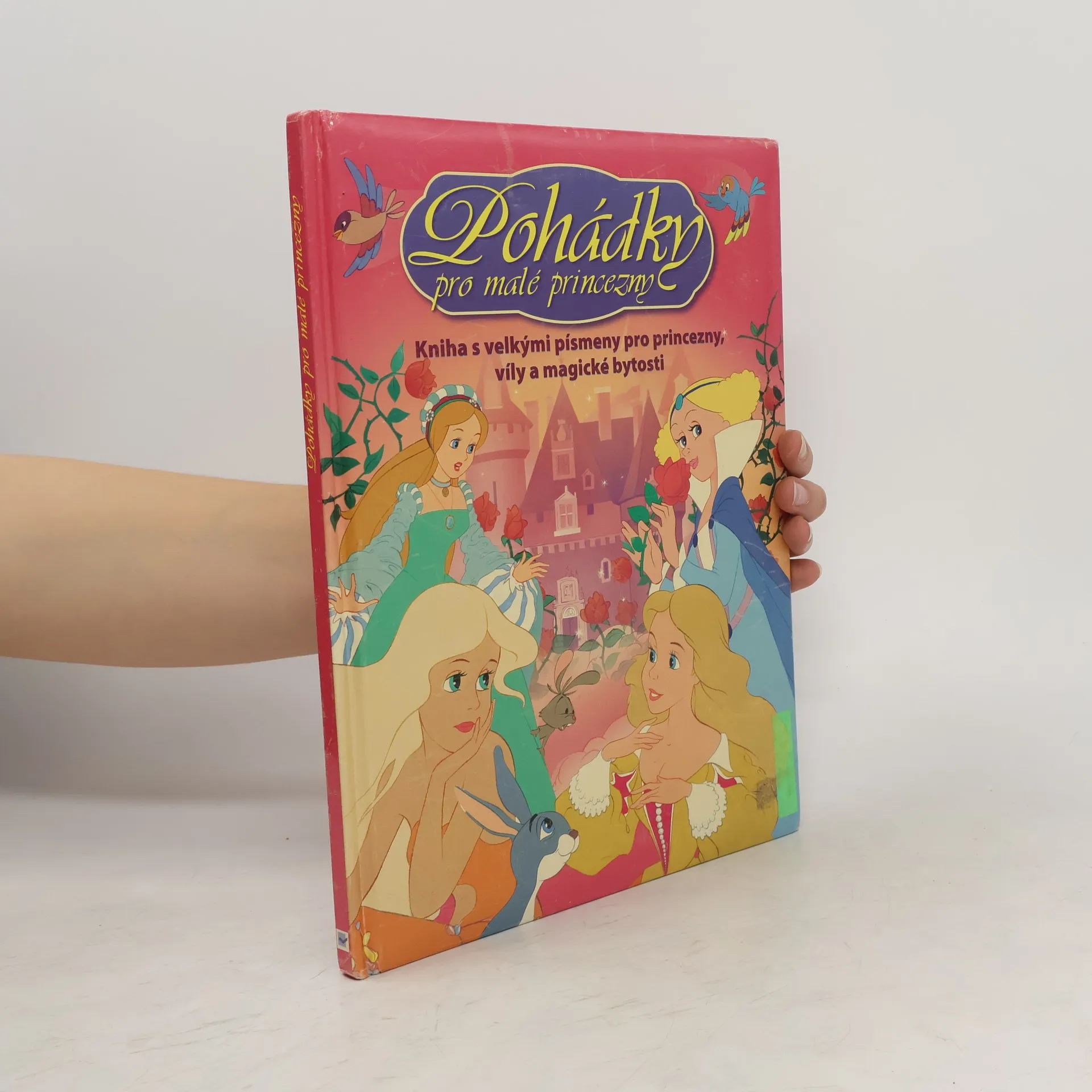 Pohádky pro malé princezny | Kniha | Van Gool | CS