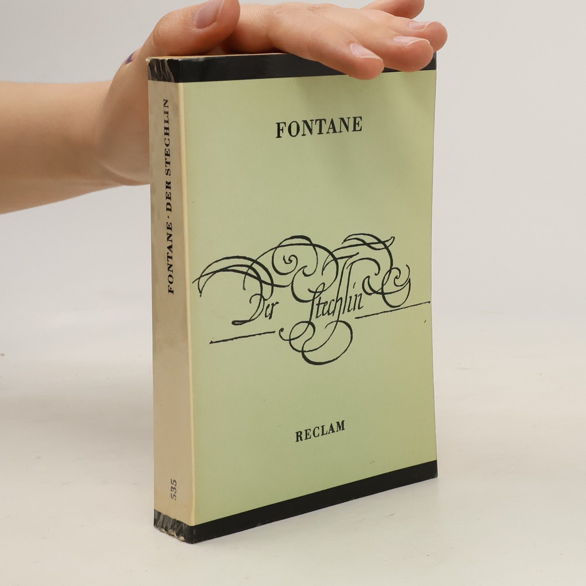 Theodor Fontane Der Stechlin