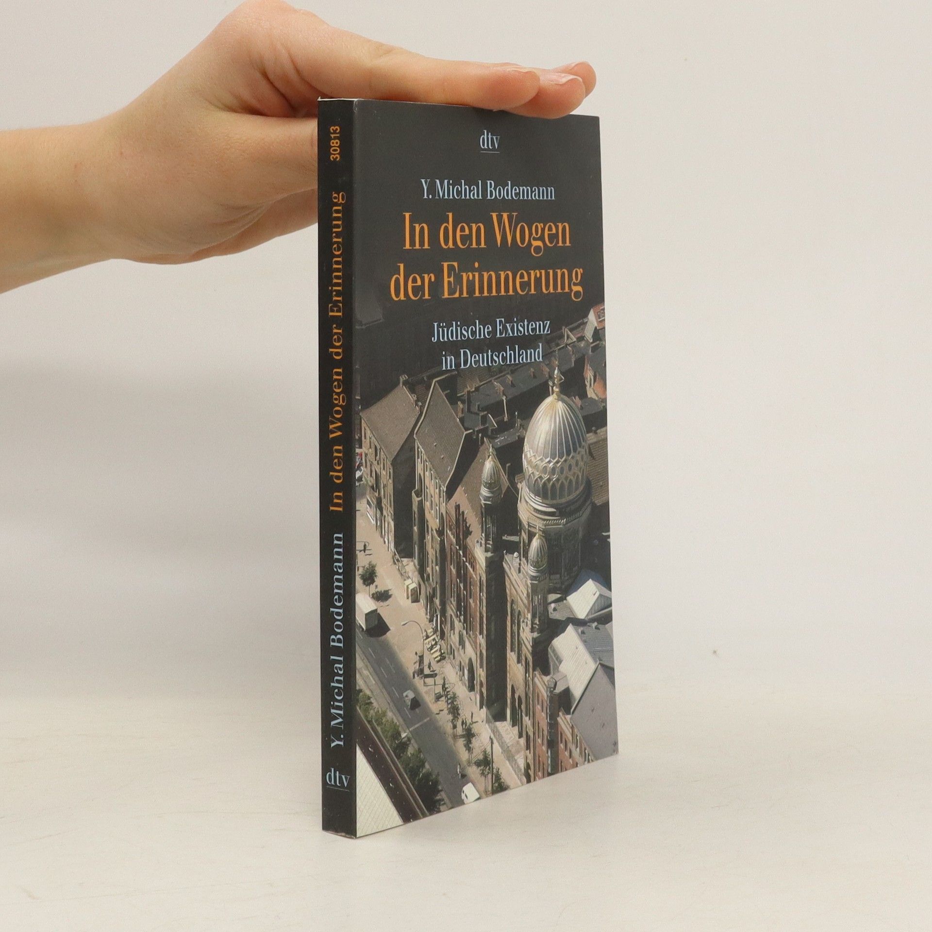 Y. Michal Bodemann In den Wogen der Erinnerung