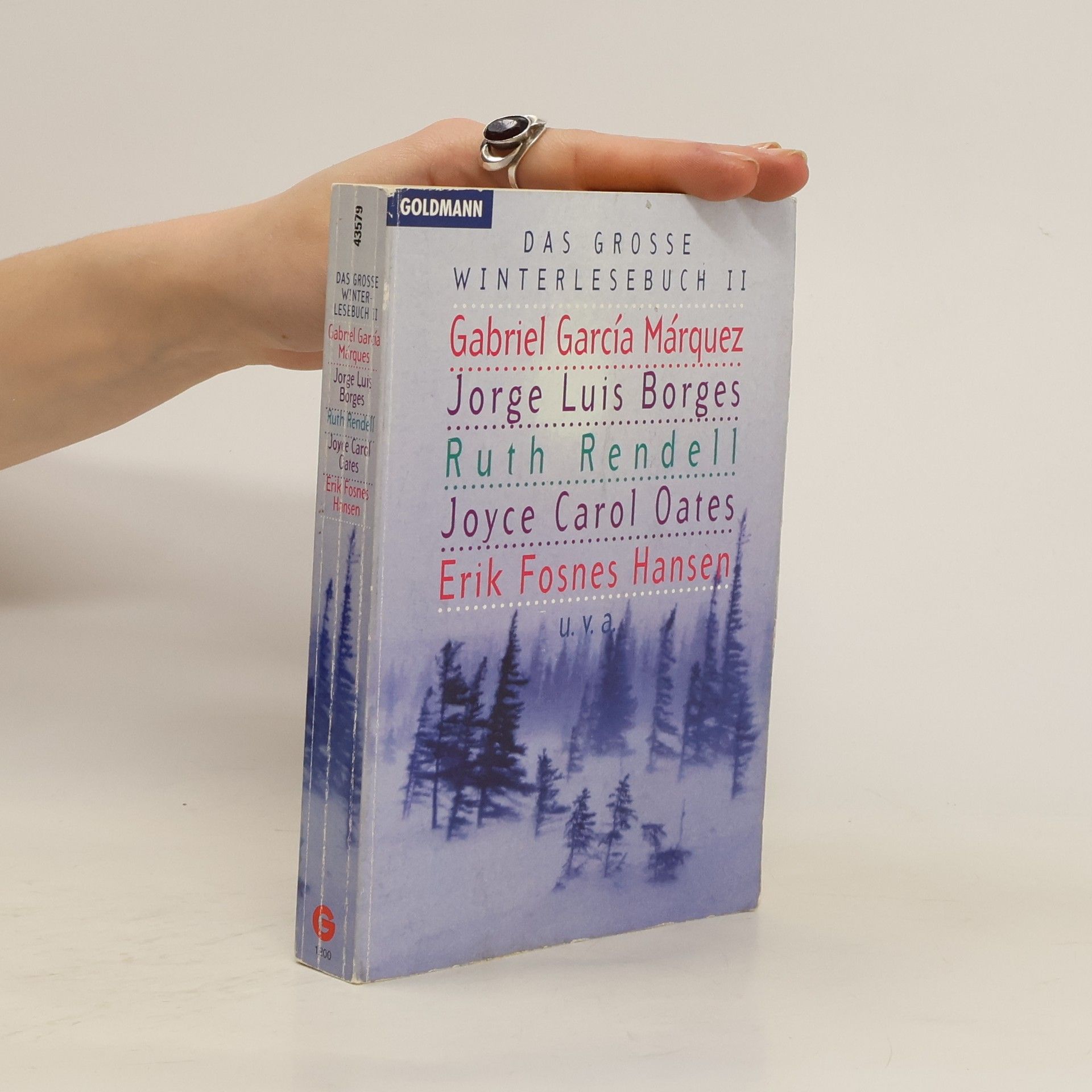 Jorge Luis Borges Das große Winterlesebuch II.
