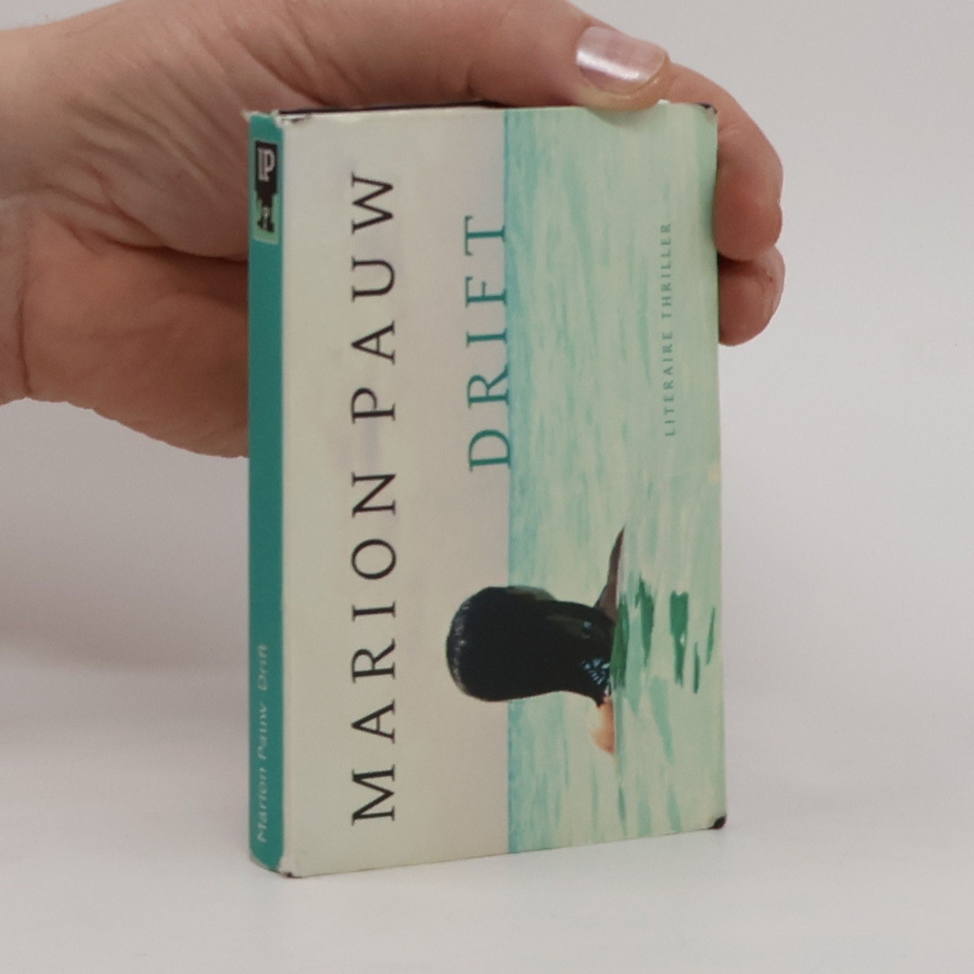 Marion Pauw Drift