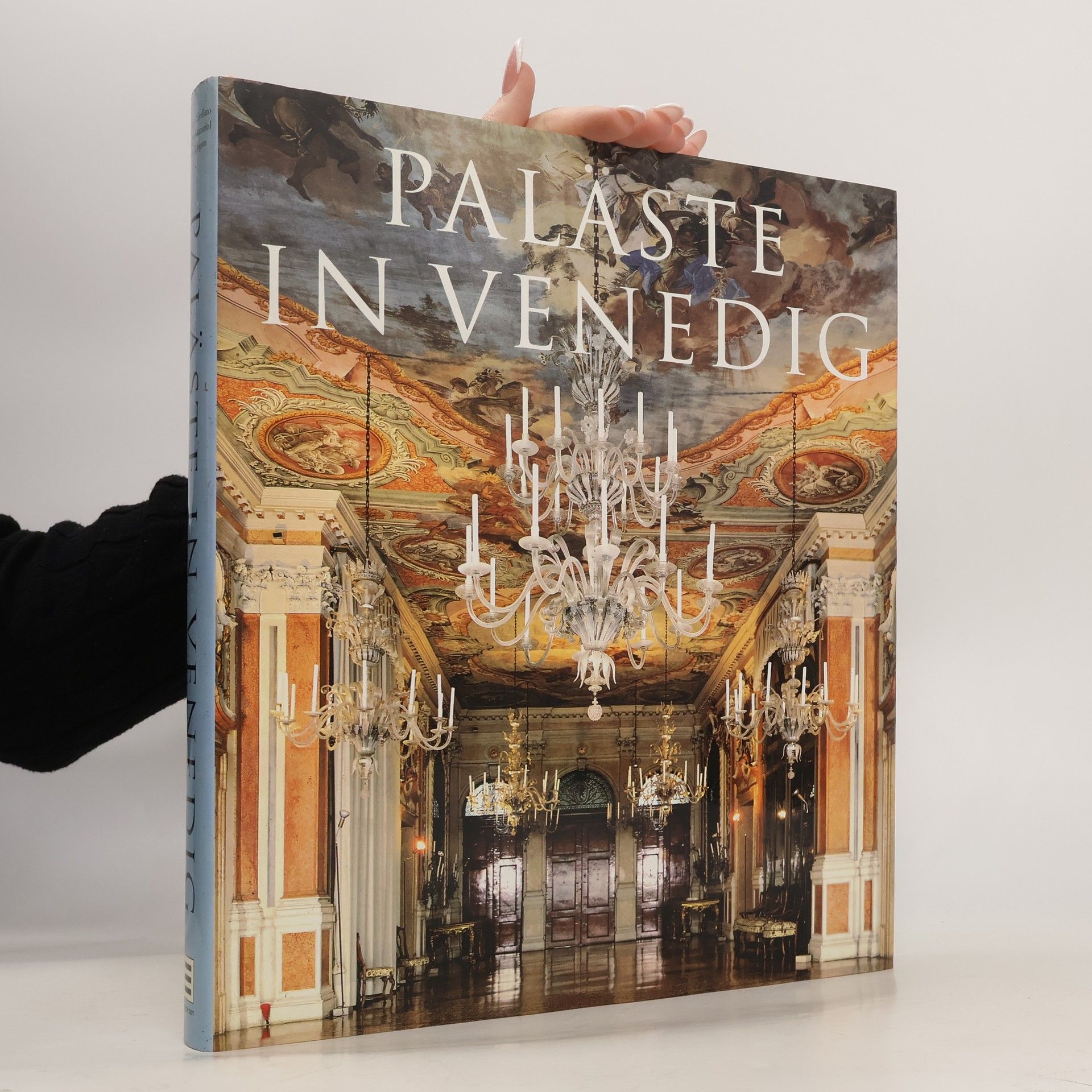 Gianluigi Trivellato Venetian Palazzi