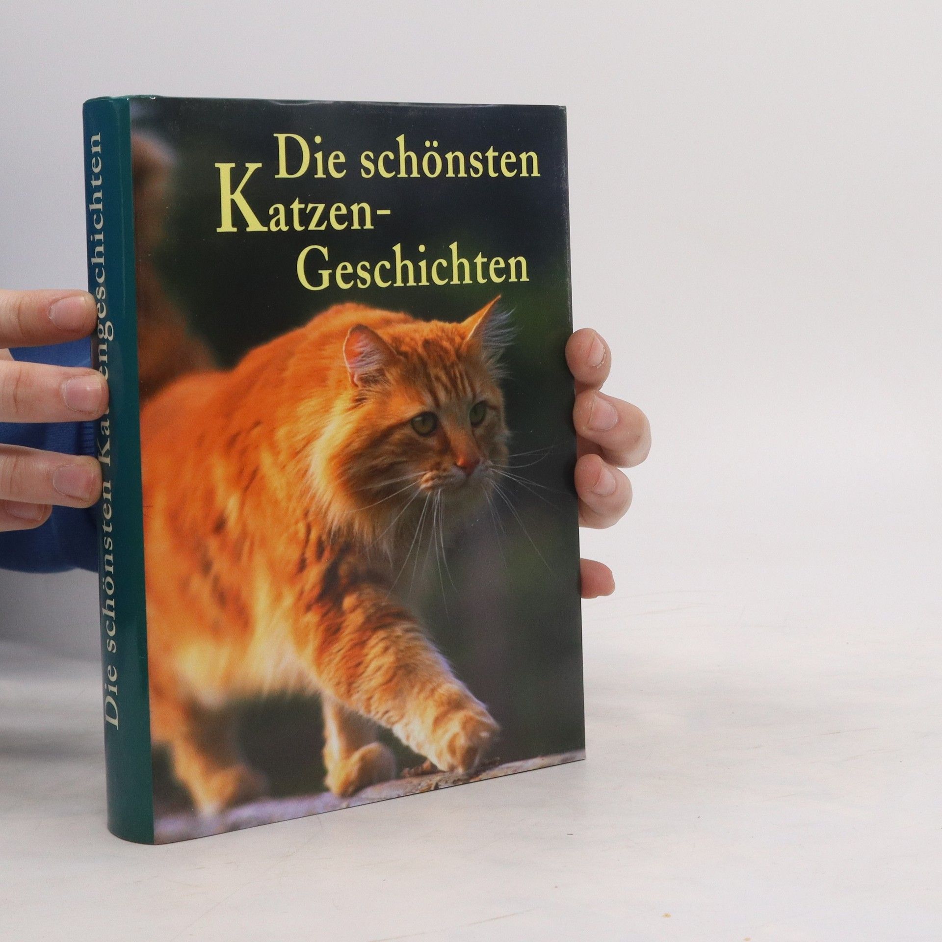Autorenkollektiv Die schönsten Katzen-Geschichten