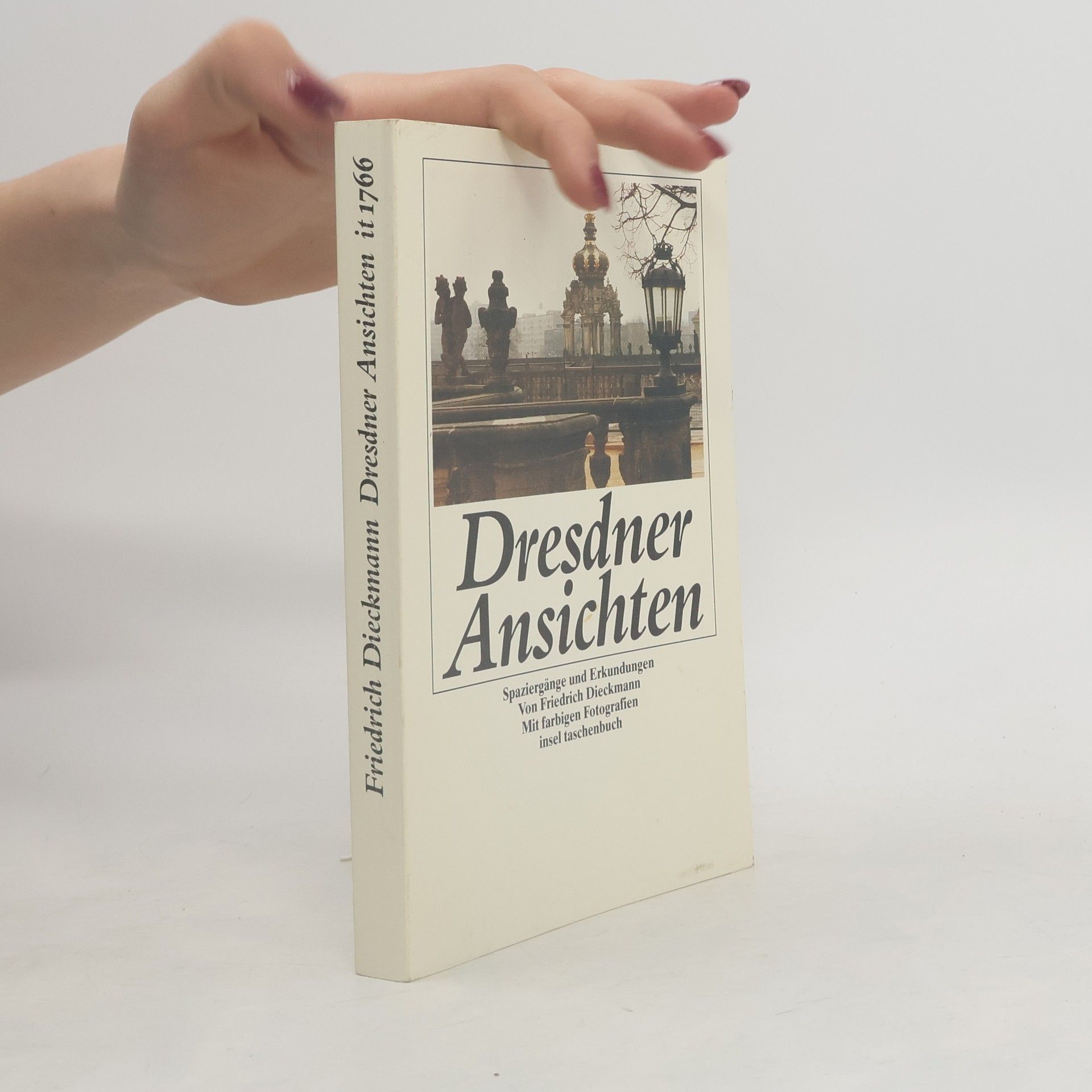 Friedrich Dieckmann Dresdner Ansichten