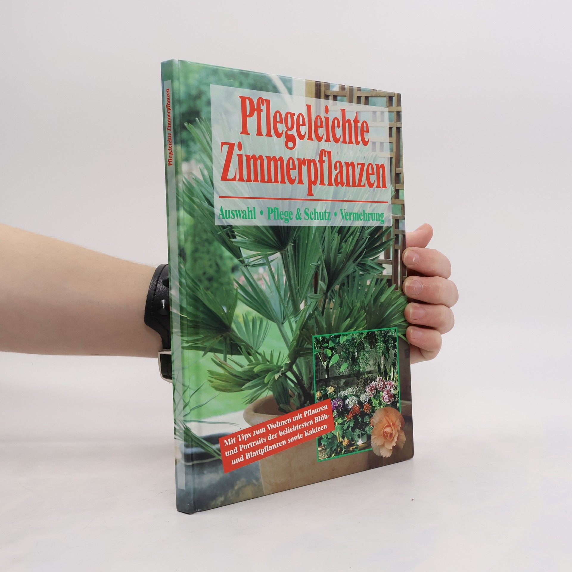 Autorenkollektiv Pflegeleichte Zimmerpflanzen