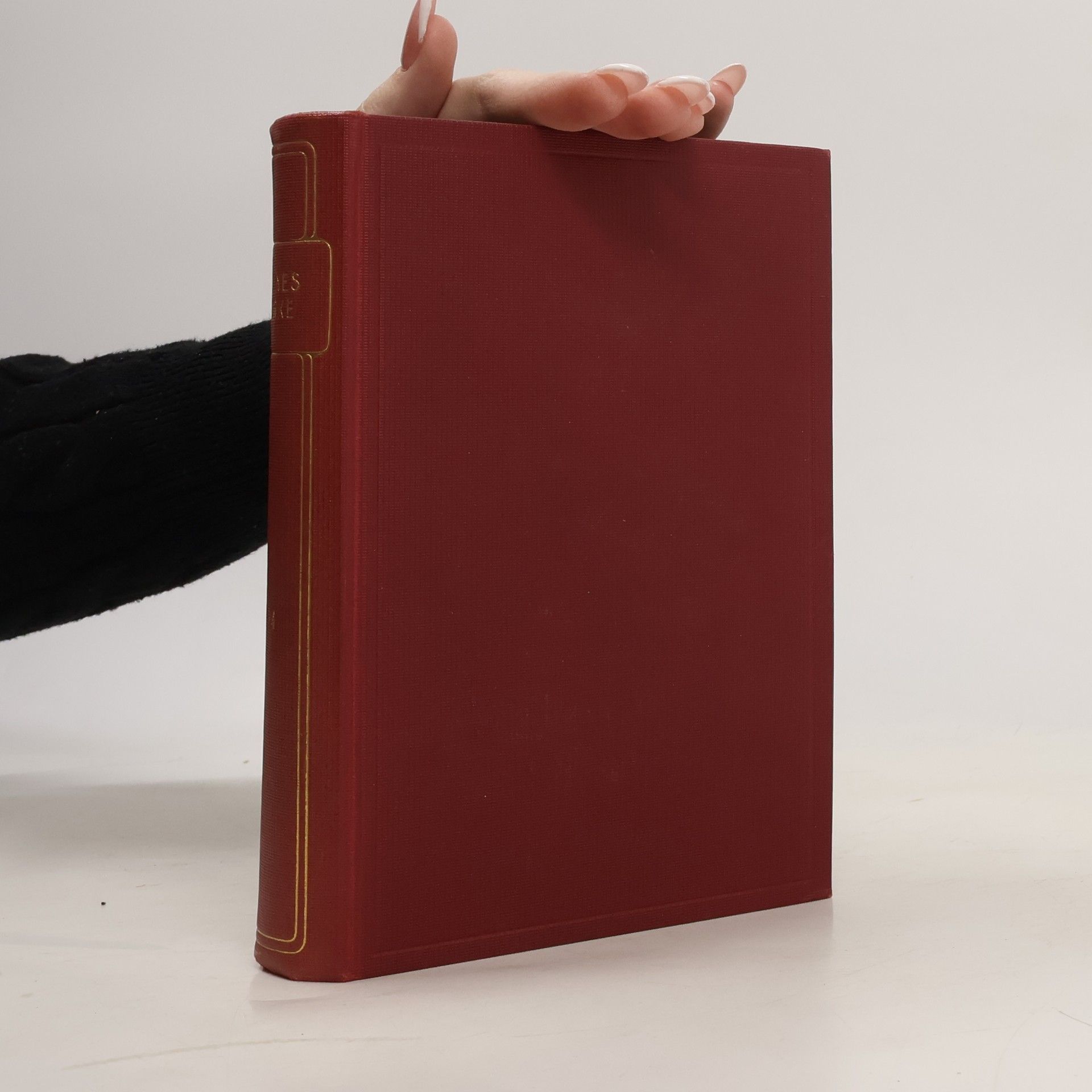 Kolektiv autorů Heines Werke. Erster Teil. Buch der Lieder