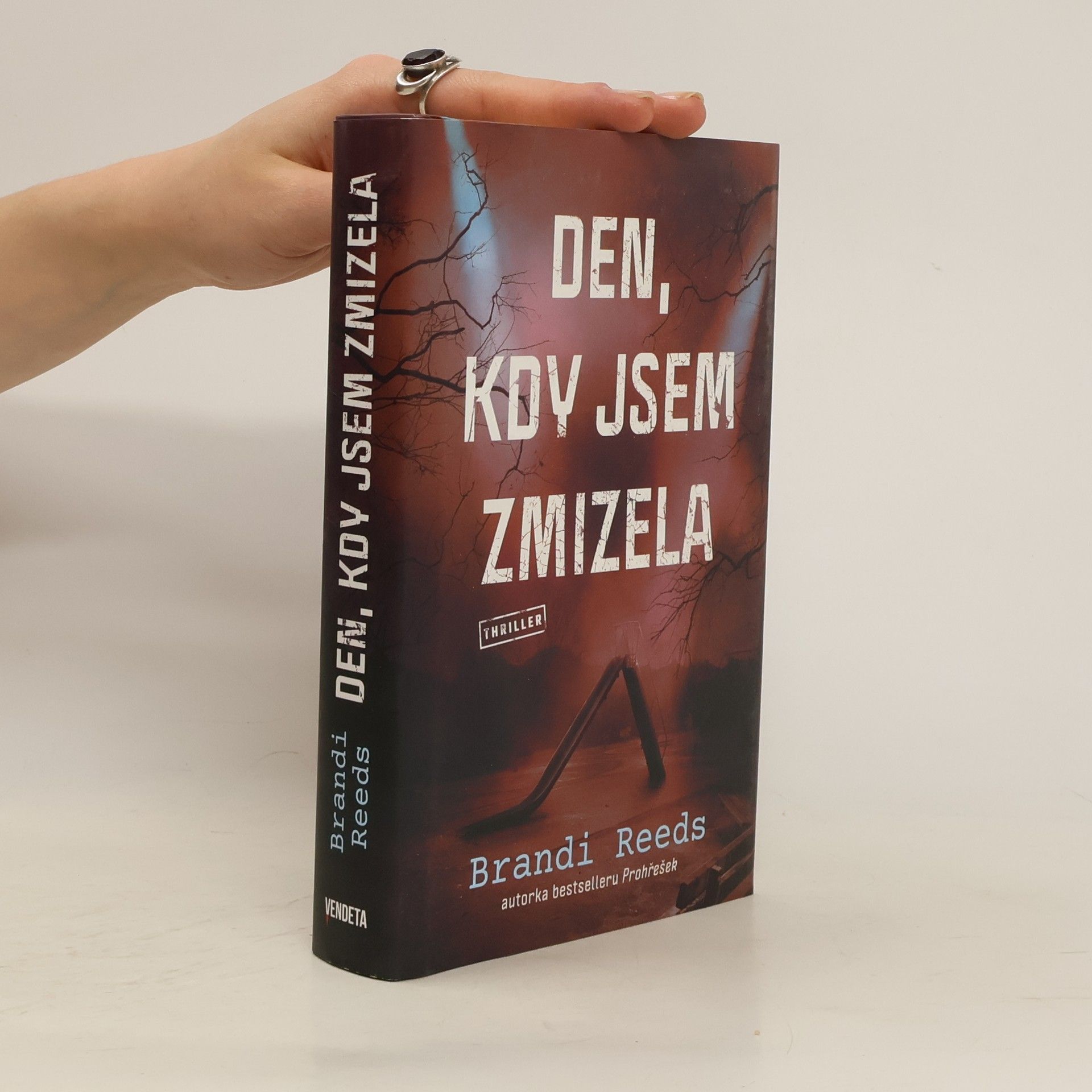Brandi Reeds Den, kdy jsem zmizela