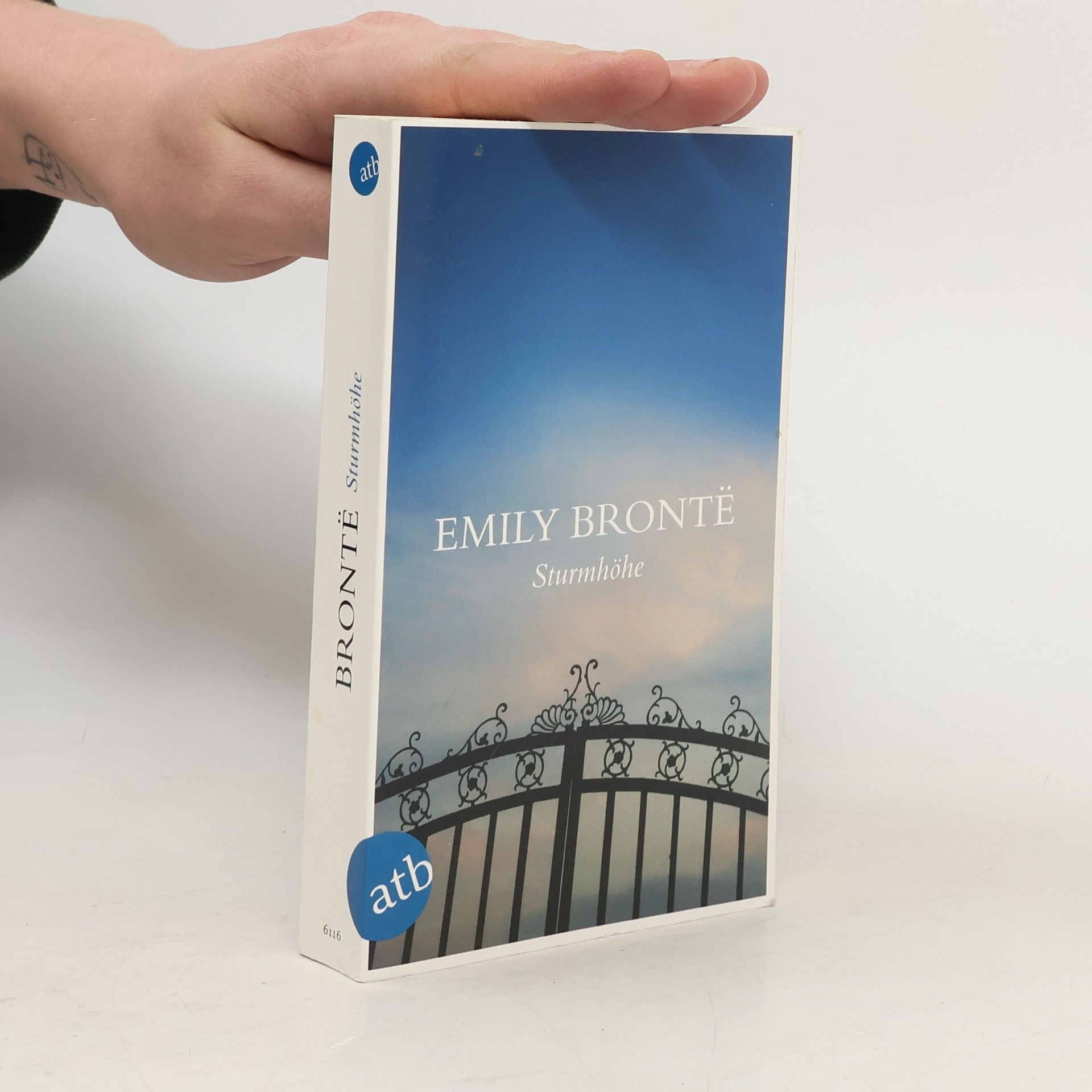 Emily Brontë Sturmhöhe