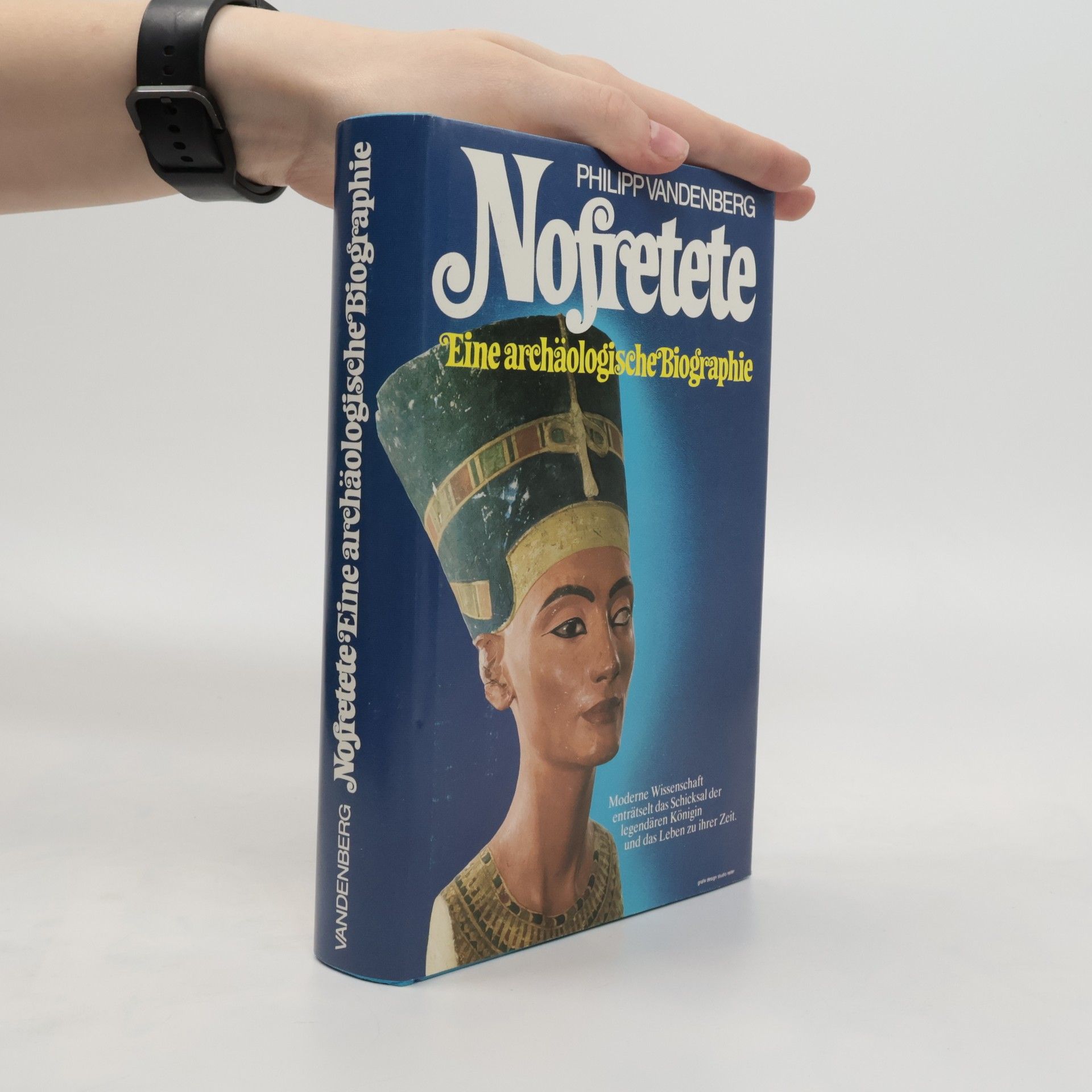 Philipp Vandenberg Nofretete. Eine archäologische Biographie