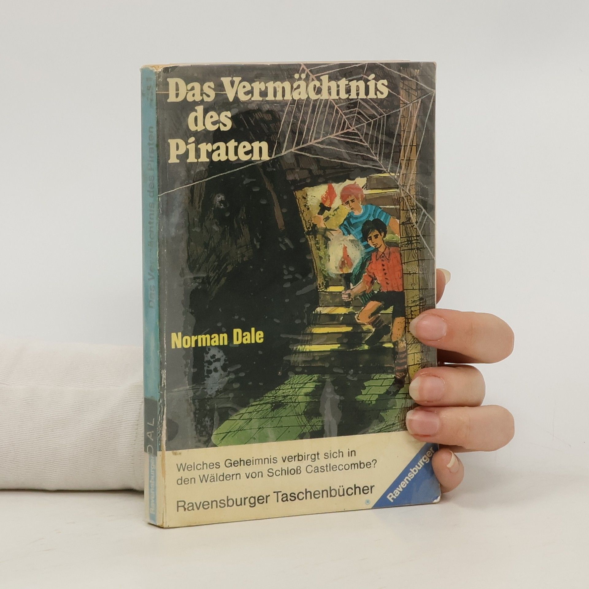Norman Dale Das Vermächtnis des Piraten oder drei Kinder erobern ein Schloss